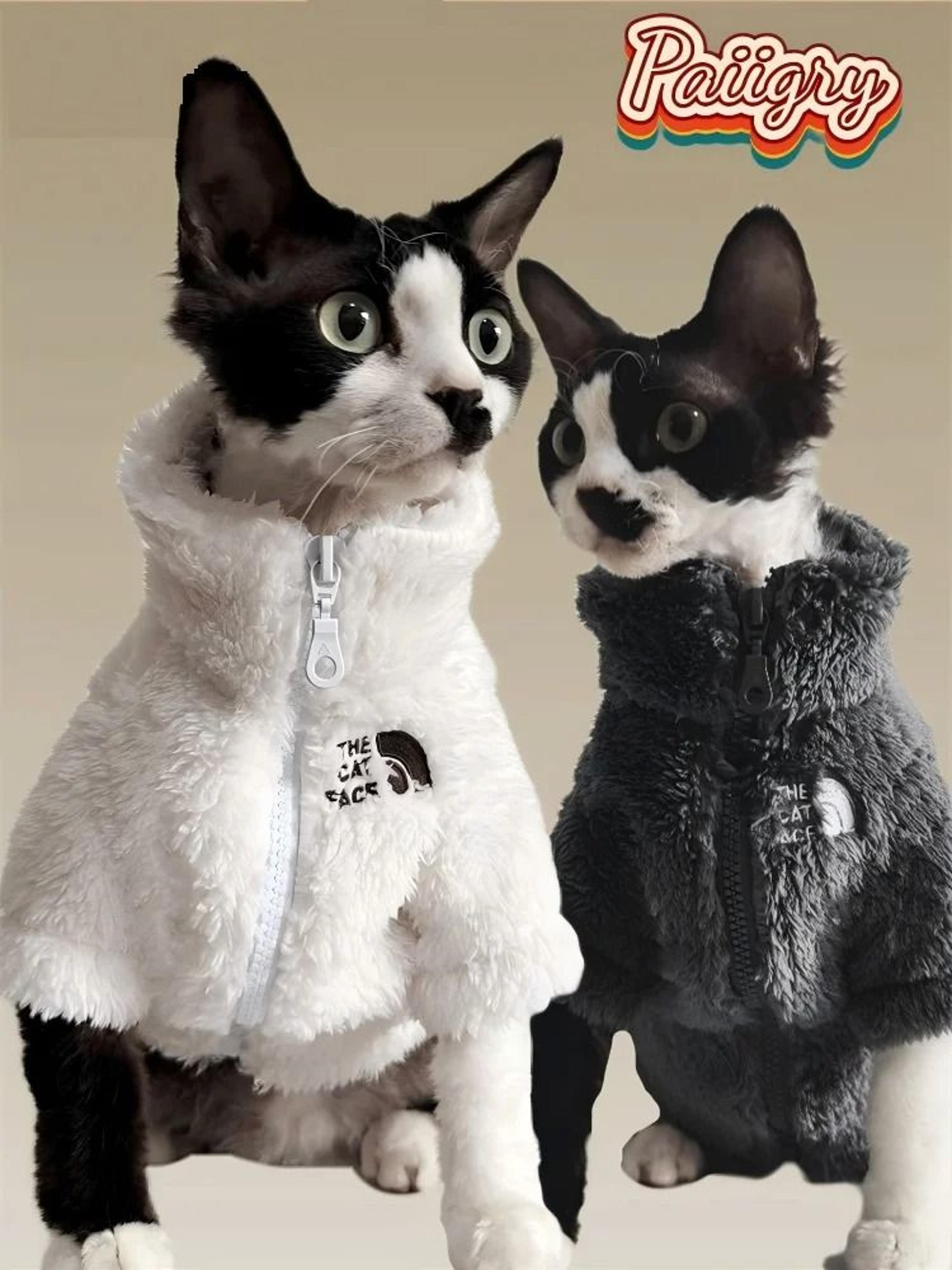 Thick Winter Warm Lambswool Coat For Hairless Cats And Small Dogs 3