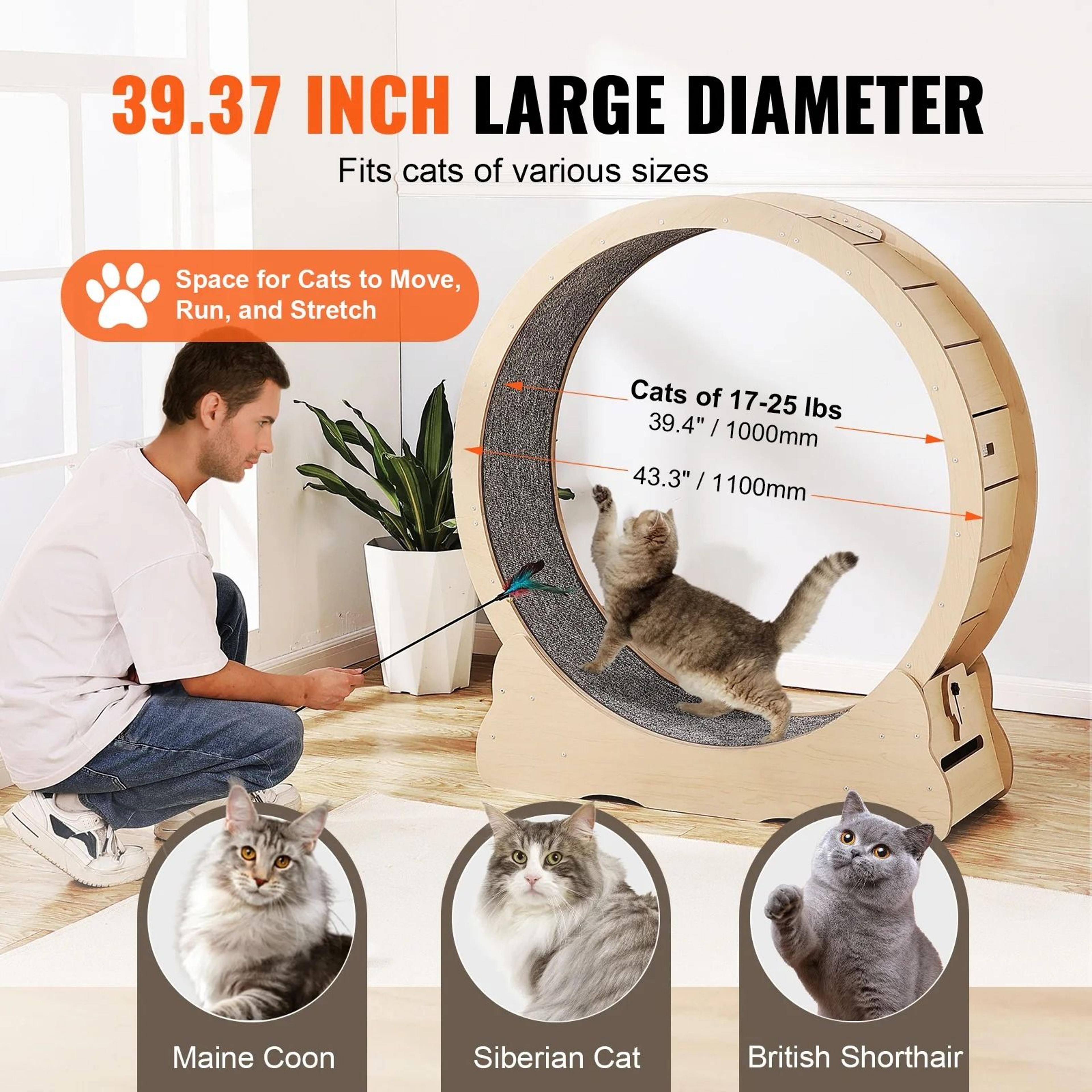 SucceBuy Wooden Cat Exercise Wheel Treadmill 3