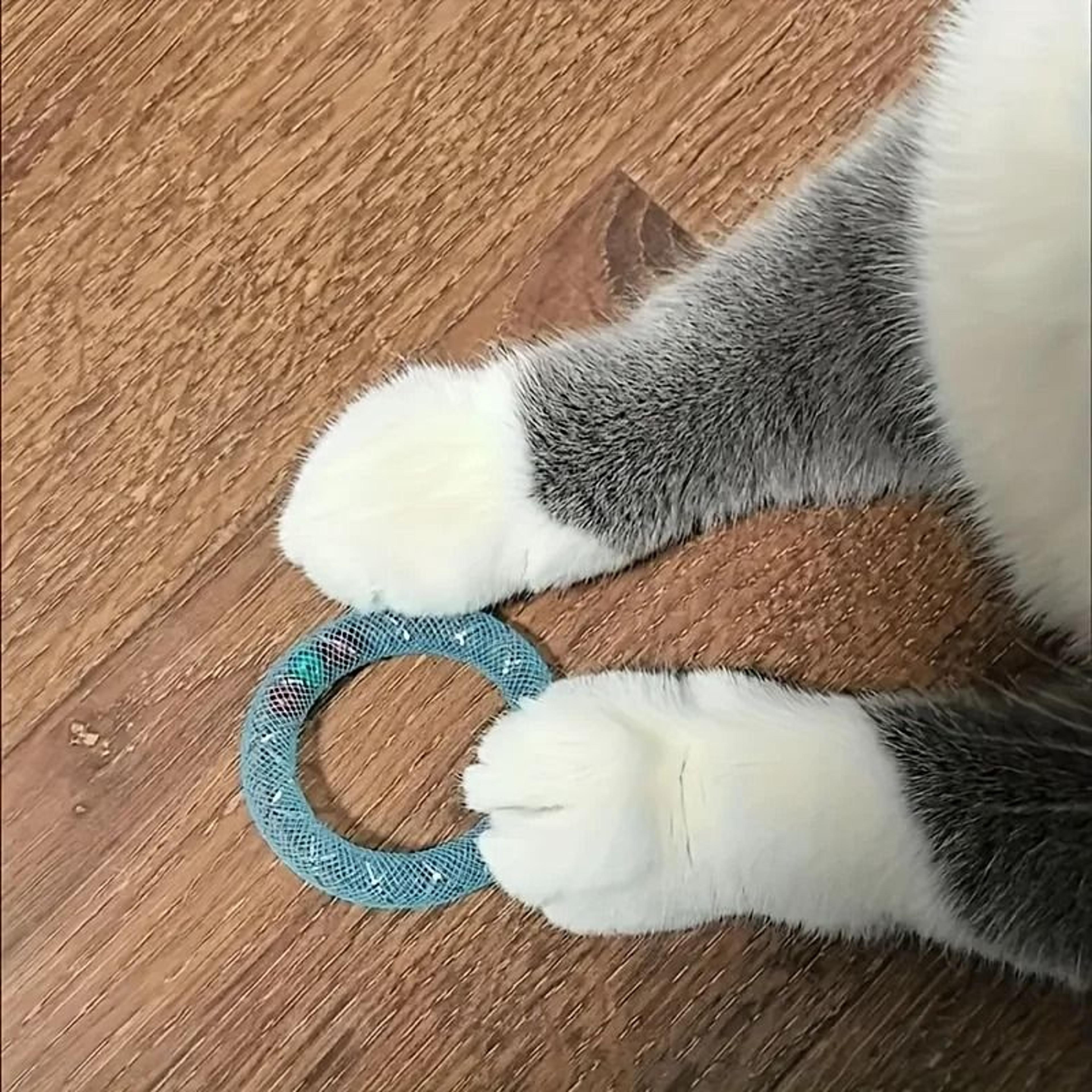 Sweet Donut Shaped Bouncing Spring Cat Toy With Bell Sound 1
