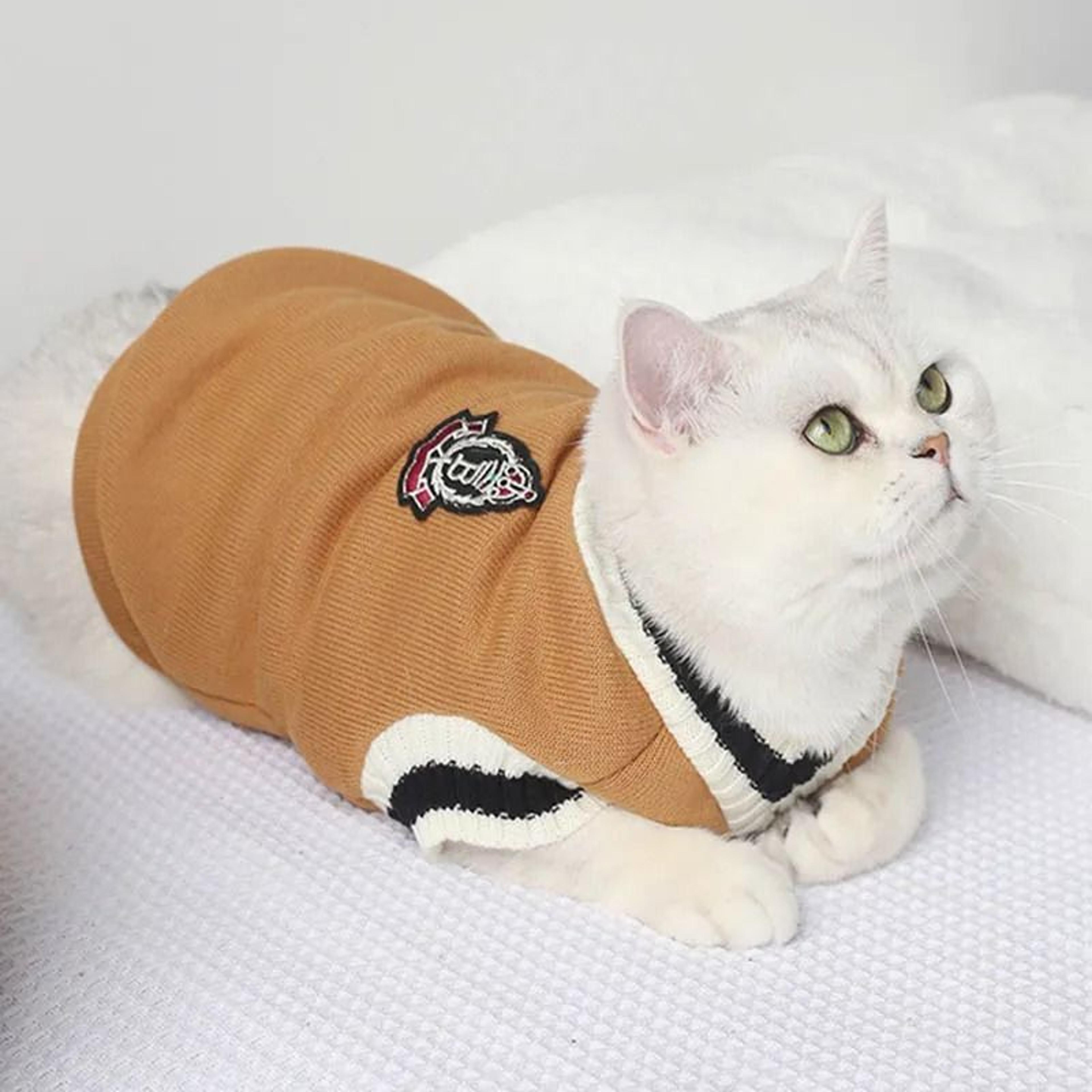 Winter Knit Pet Cozy Pullover Sweater Vest And Puppy Jacket 4