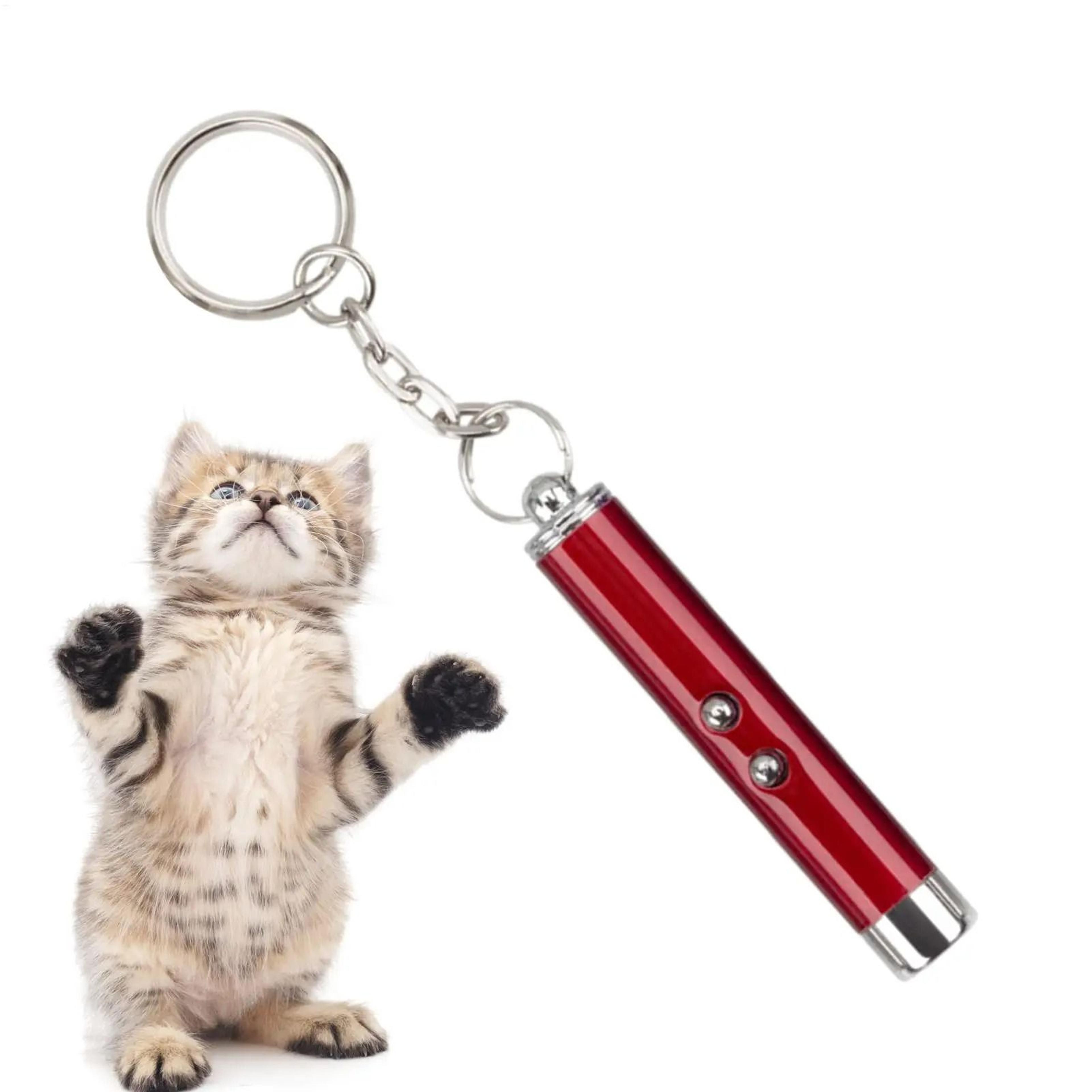Portable Interactive Laser Pointer Enrichment Toy For Cats And Kittens 1