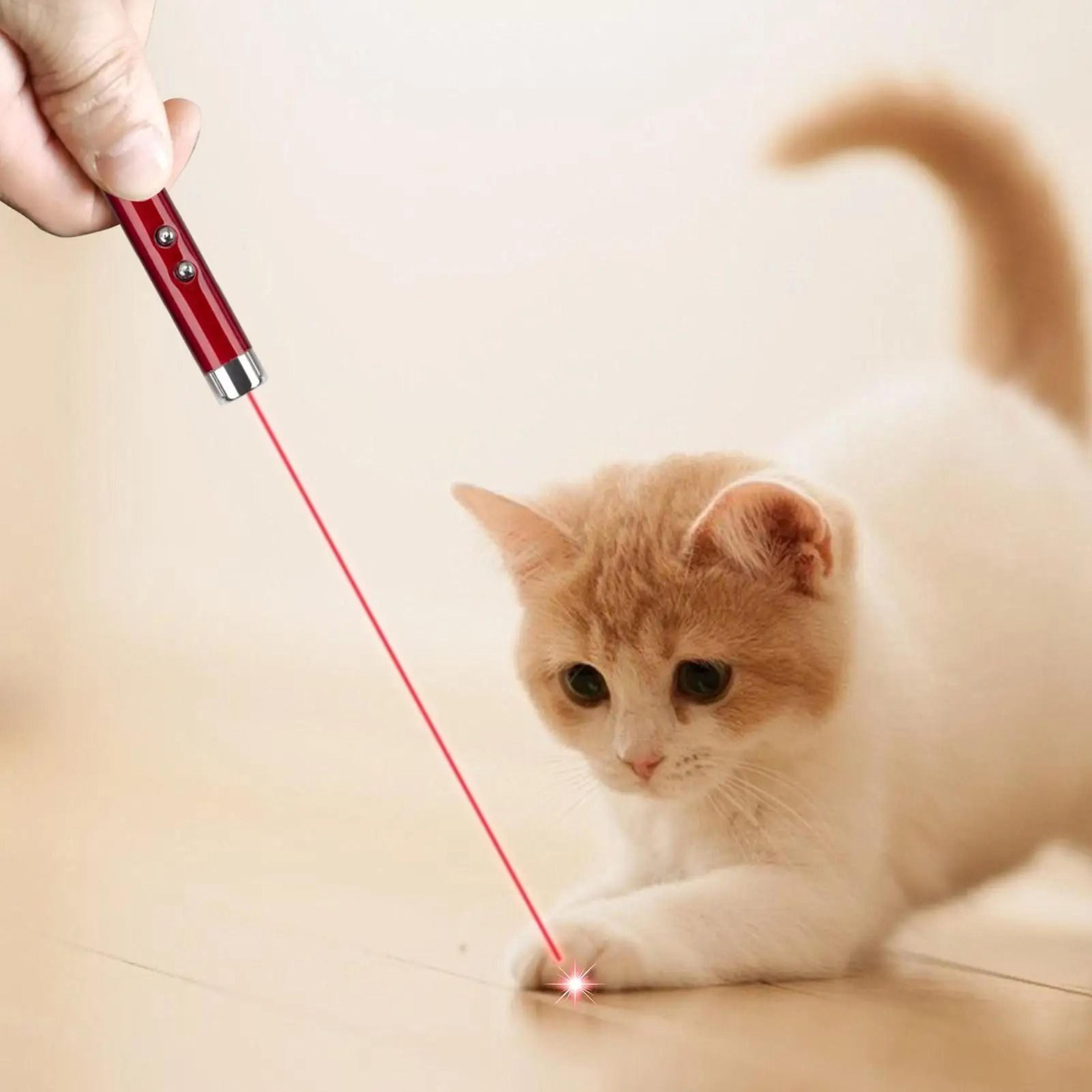 Portable Interactive Laser Pointer Enrichment Toy For Cats And Kittens 4