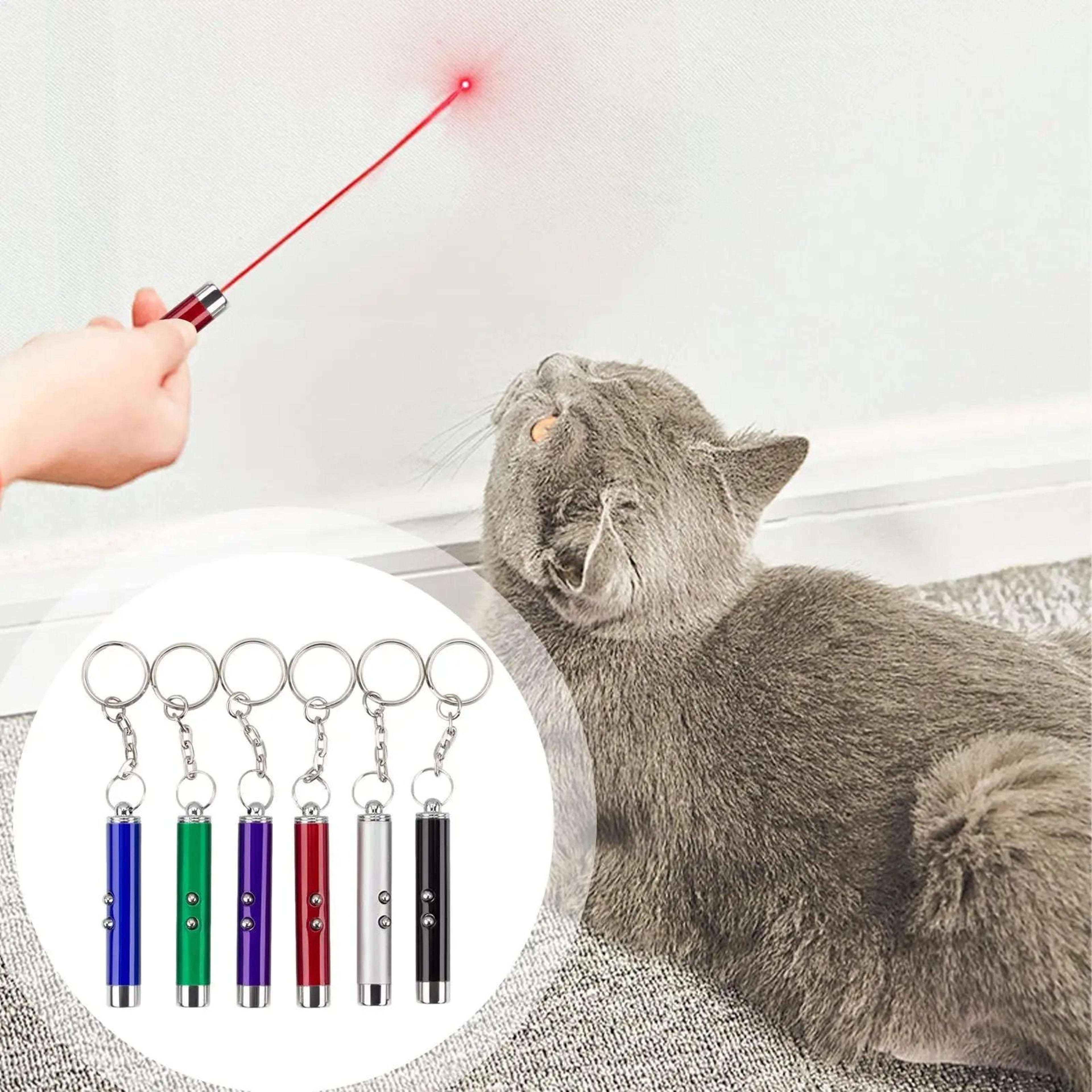 Portable Interactive Laser Pointer Enrichment Toy For Cats And Kittens 5
