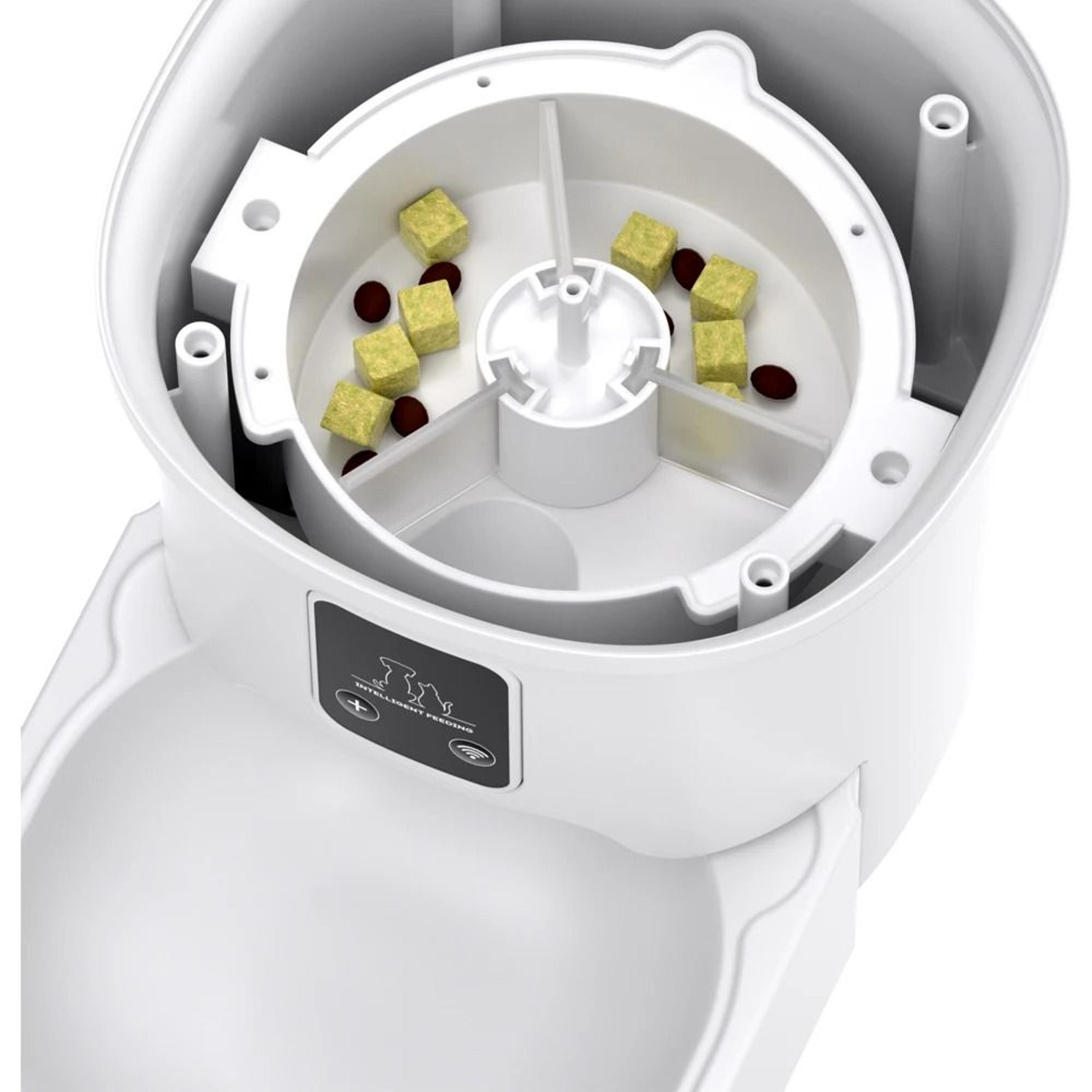 4L Intelligent Automatic Smart Pet Food Dispenser 4