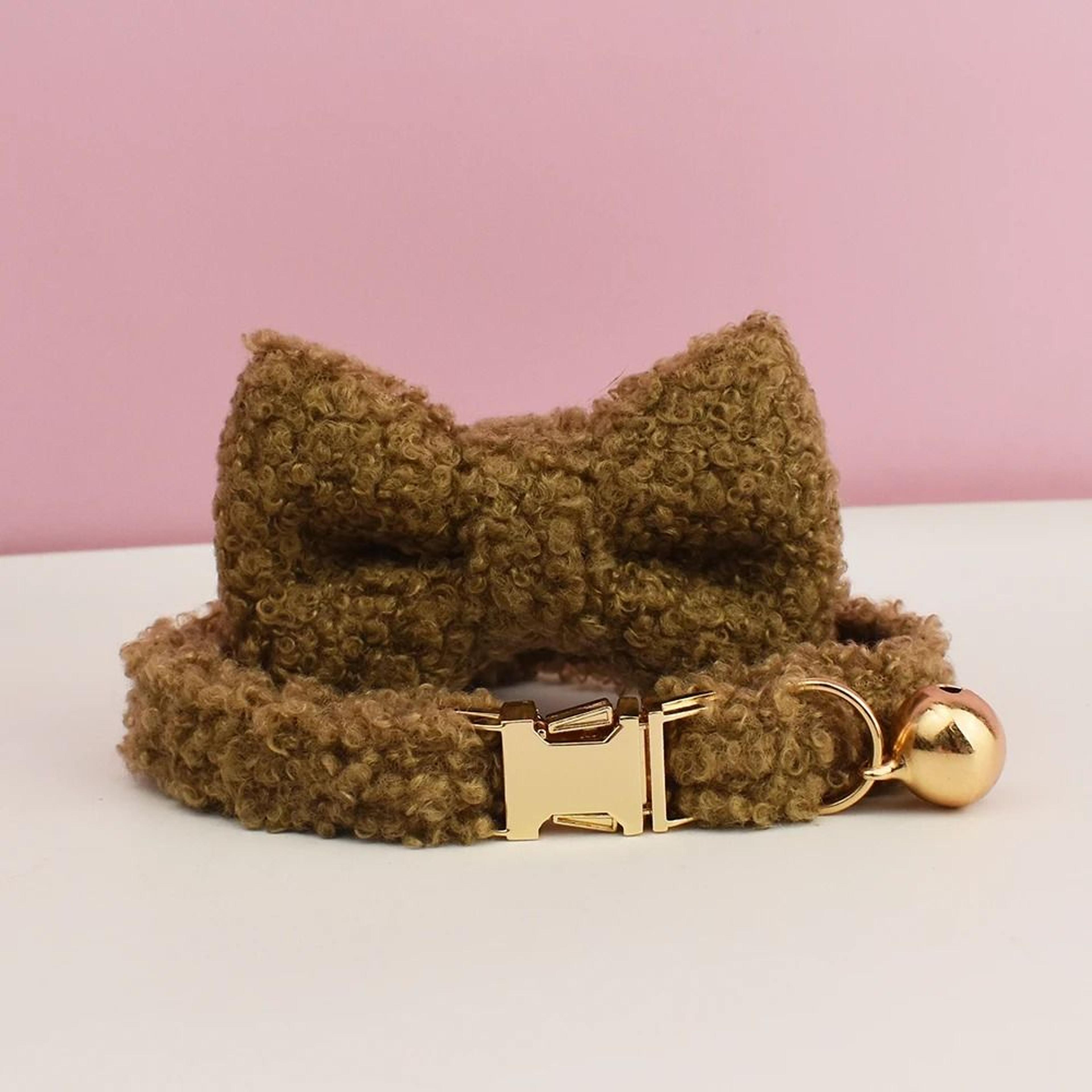 Personalized Custom Engraved Teddy Cat Collar With Name Plate 14