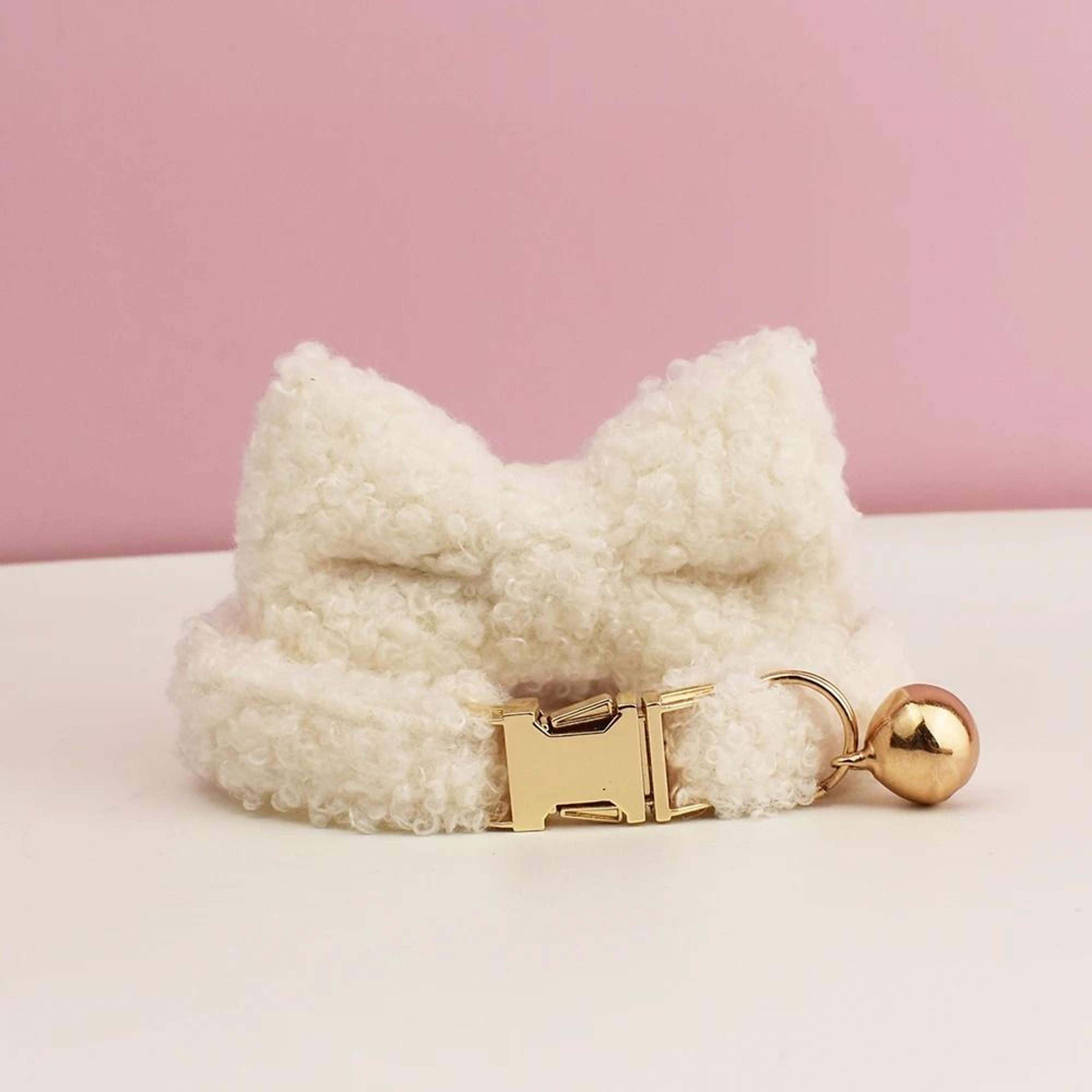 Personalized Custom Engraved Teddy Cat Collar With Name Plate 19