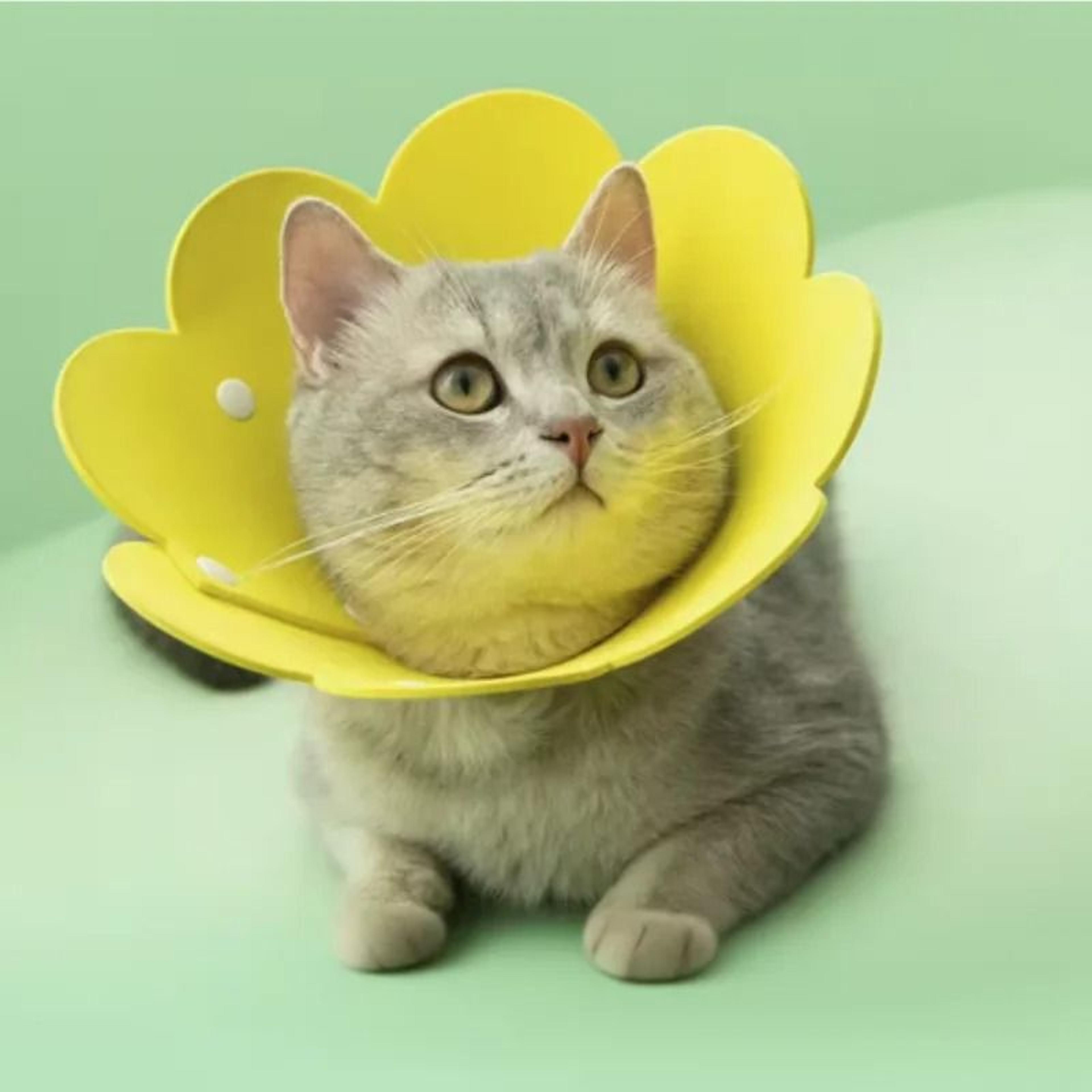 Cute FlowerShaped Adjustable Elizabethan Recovery Collar 0