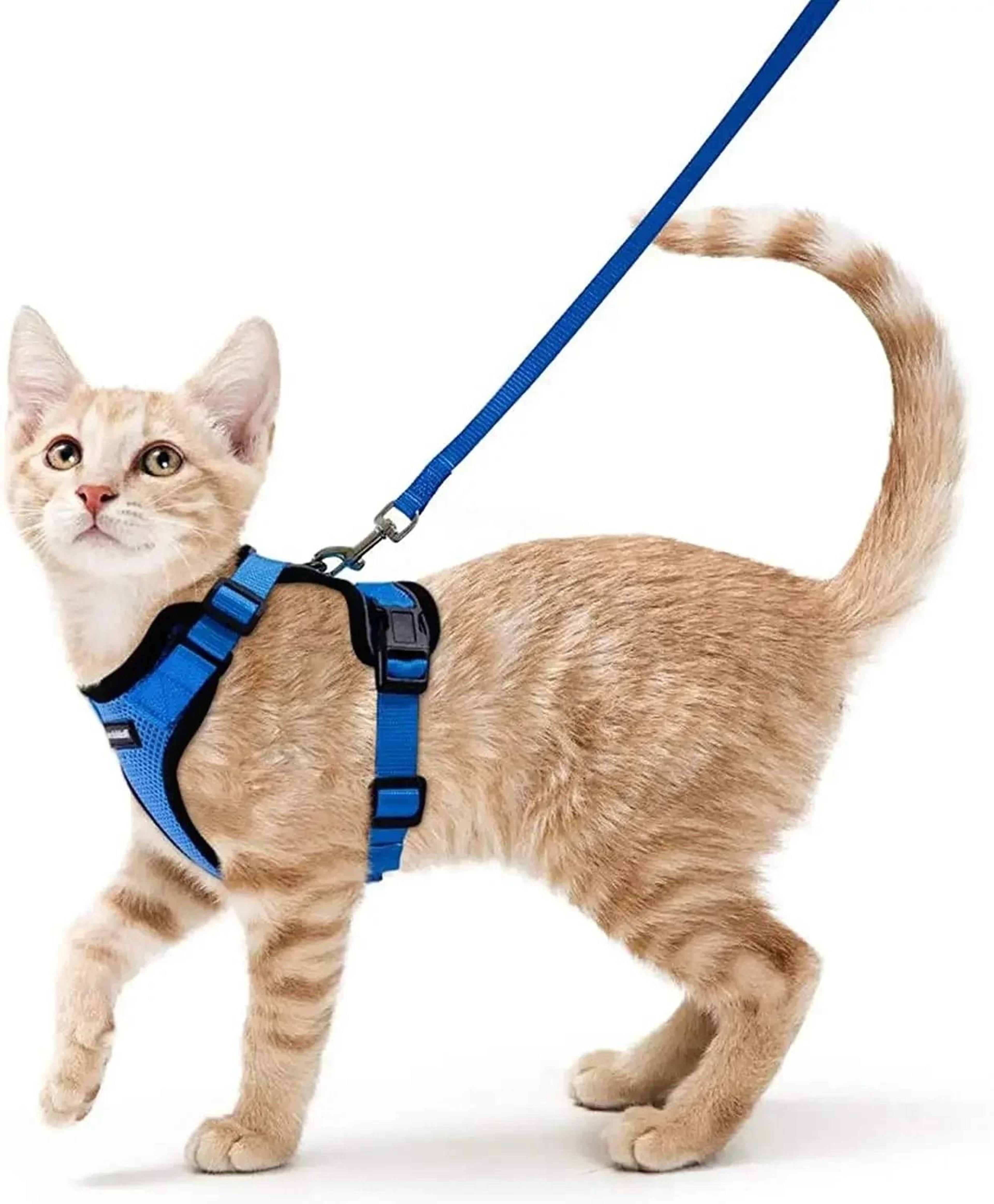 ATUBAN Escape Proof Cat Harness And Leash Set With Breathable Reflective Vest 12