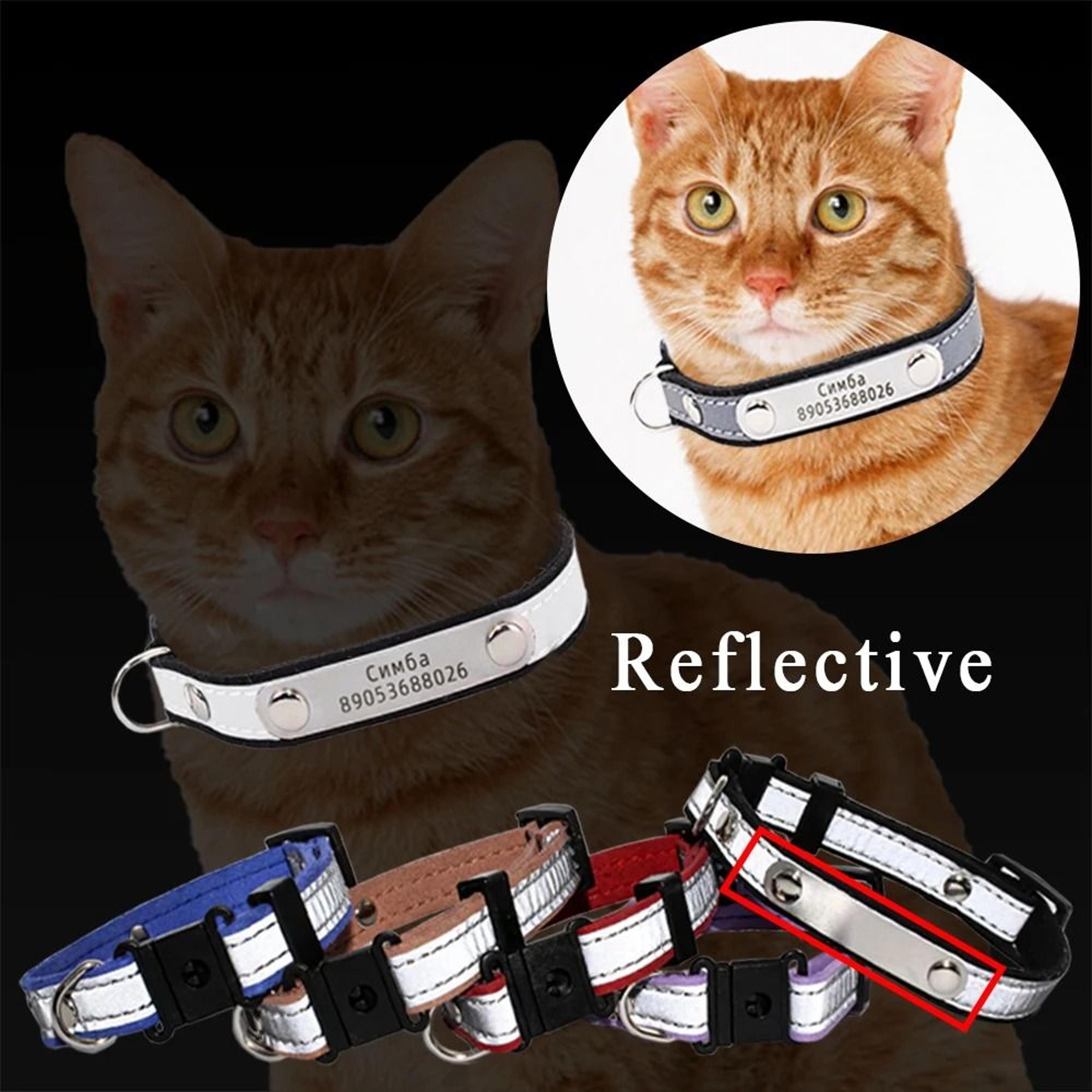 3in1 Personalized Engraved Cat Collar With Reflective Safety Band And ID Nameplate 0