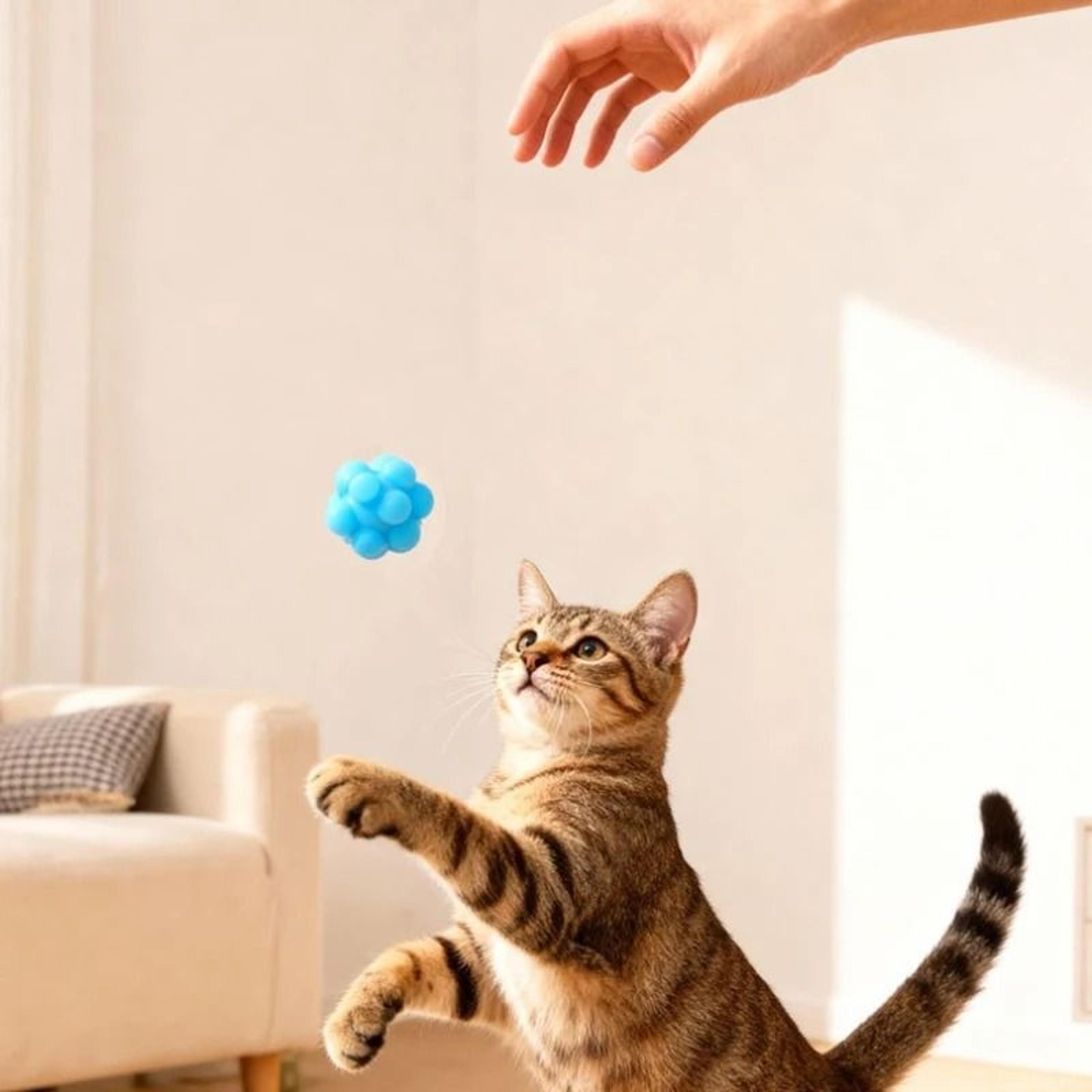 HighElasticity Bouncy Cat Chew Ball And BiteResistant Interactive Teeth Cleaning Toy 5