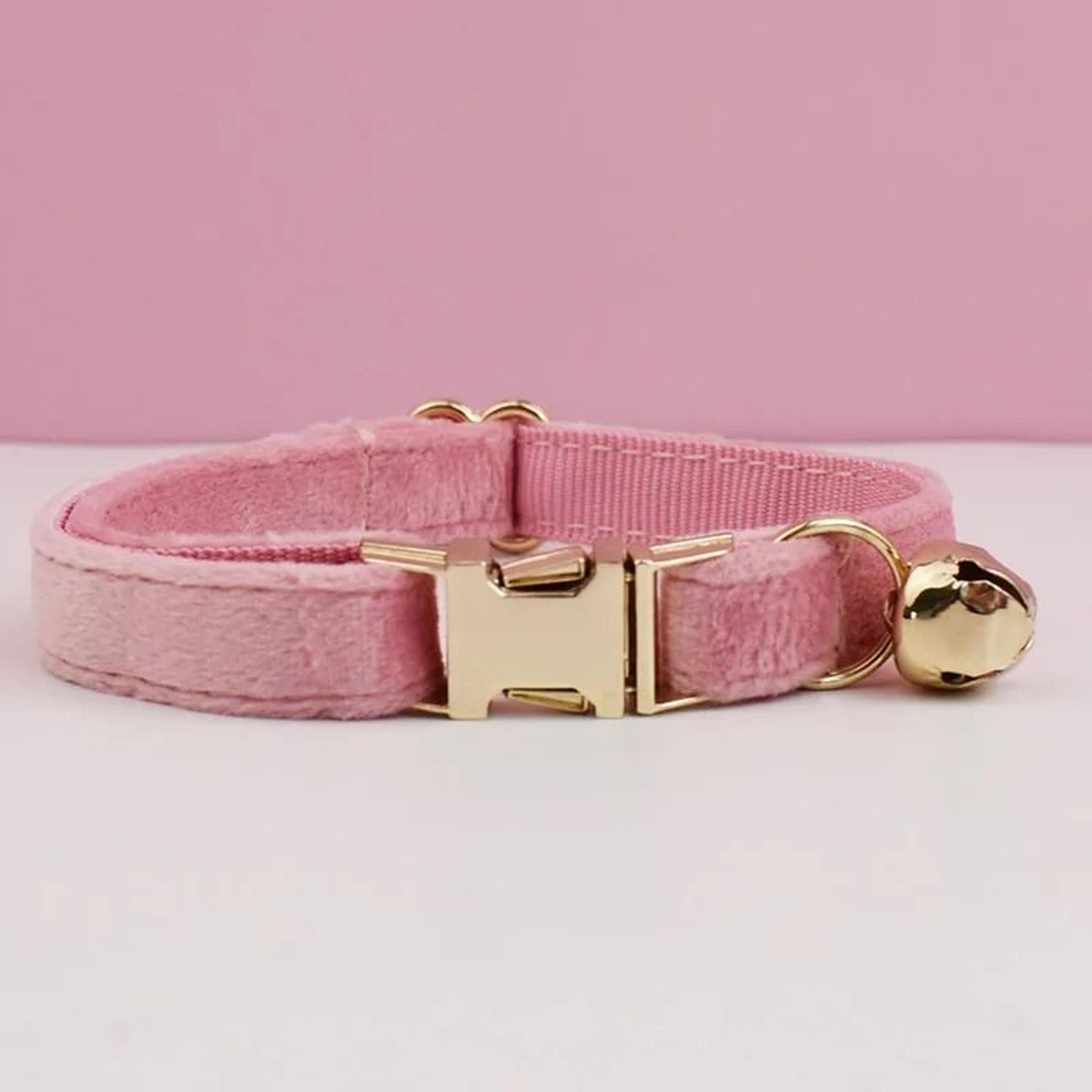 Premium Velvet Personalized Cat Collar With Custom Engraved Nameplate Bowtie And Bell 14