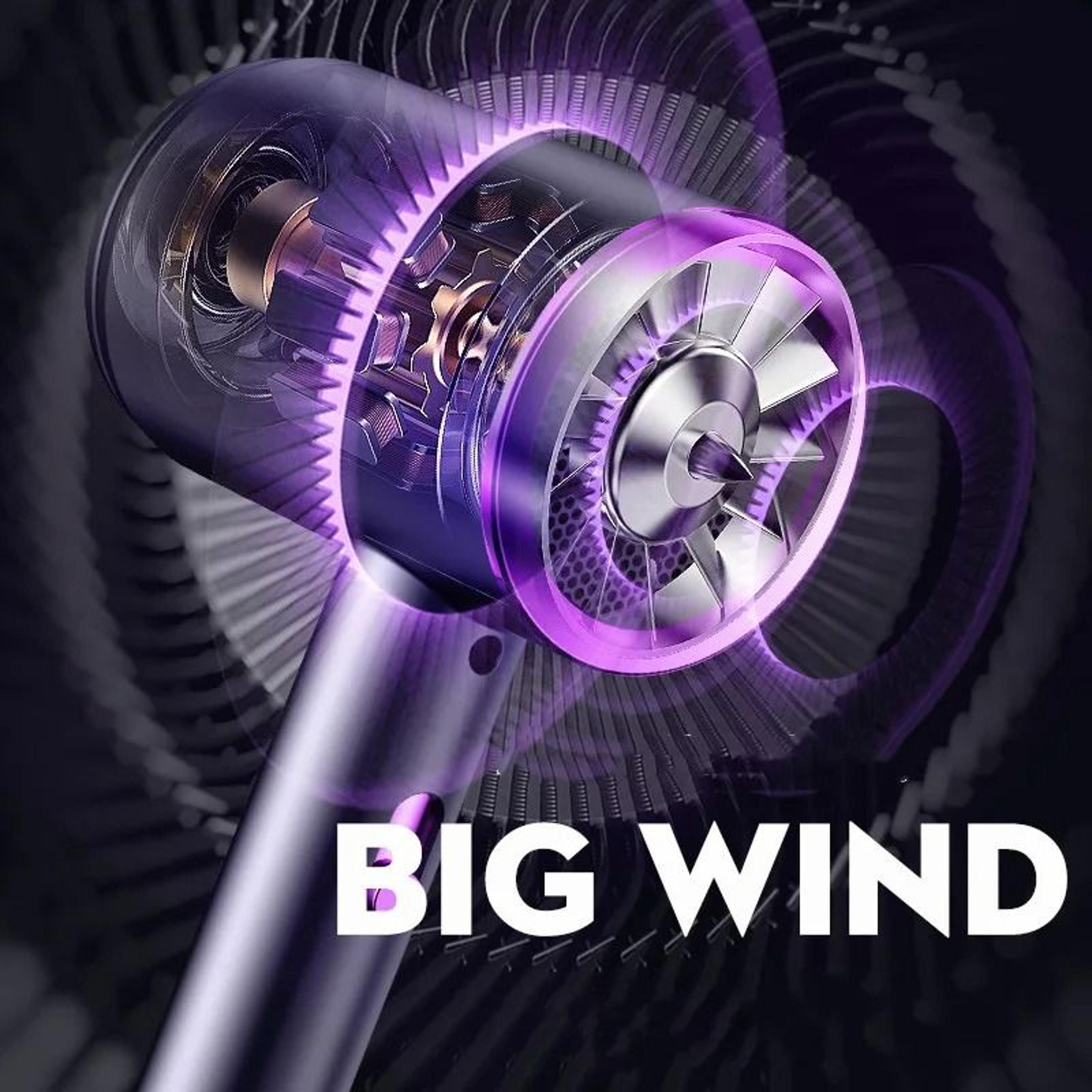 VIHAM HighPower Constant Anion Hair Dryer 2