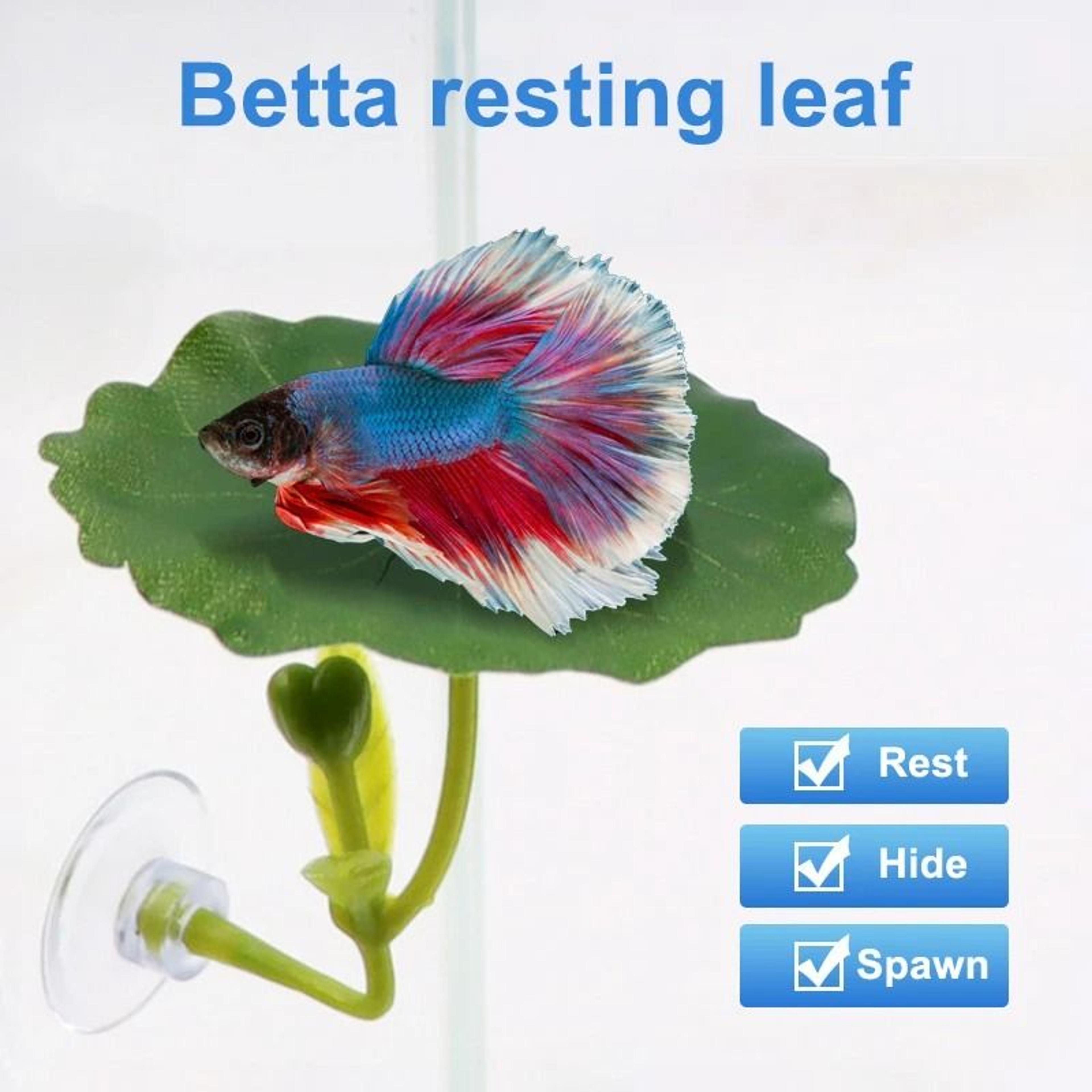 1Pc Green Leaf Betta Fish Hammock AquariumSafe Decor 0