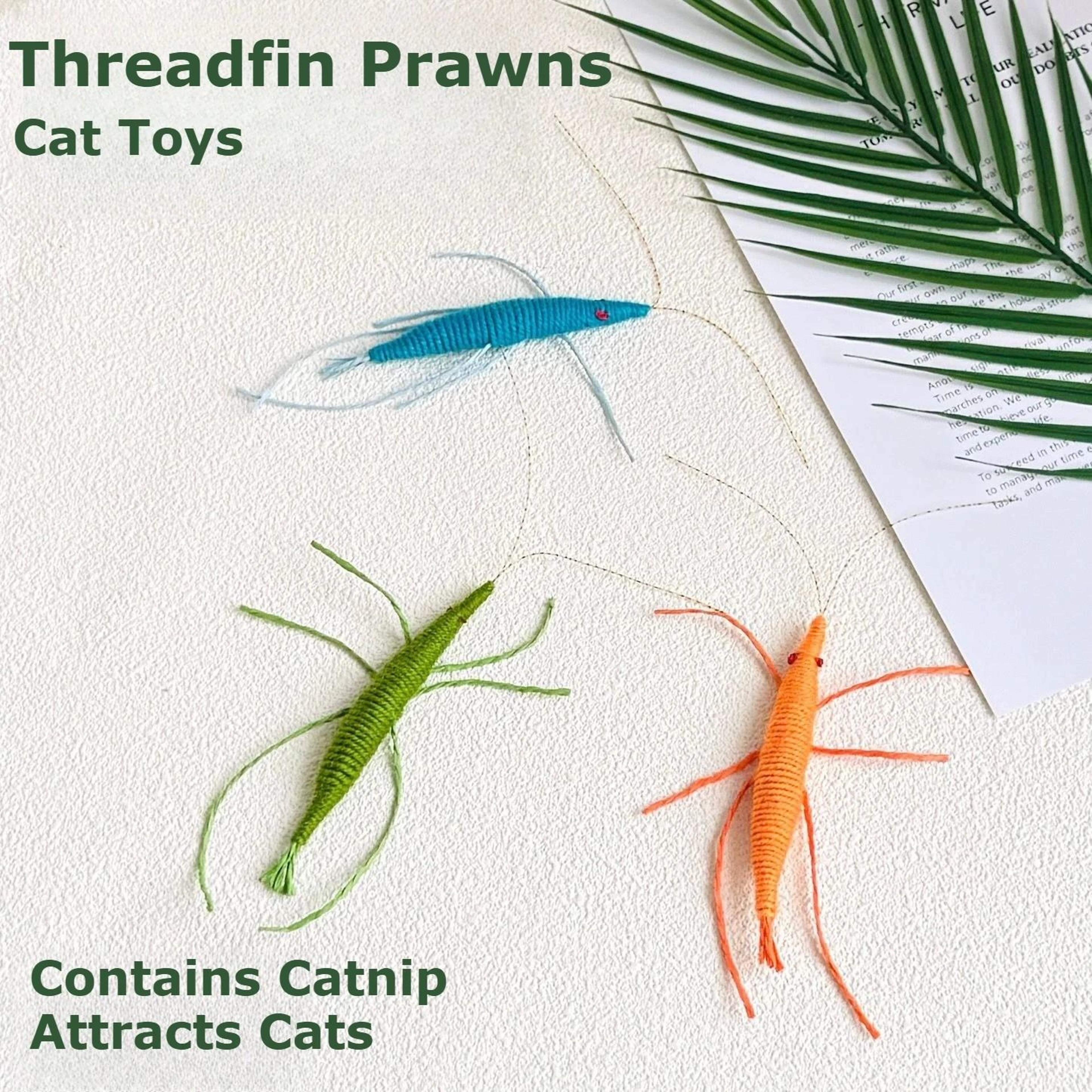 Woolen Prawn CatnipInfused Simulated Insect Chew Toy 0