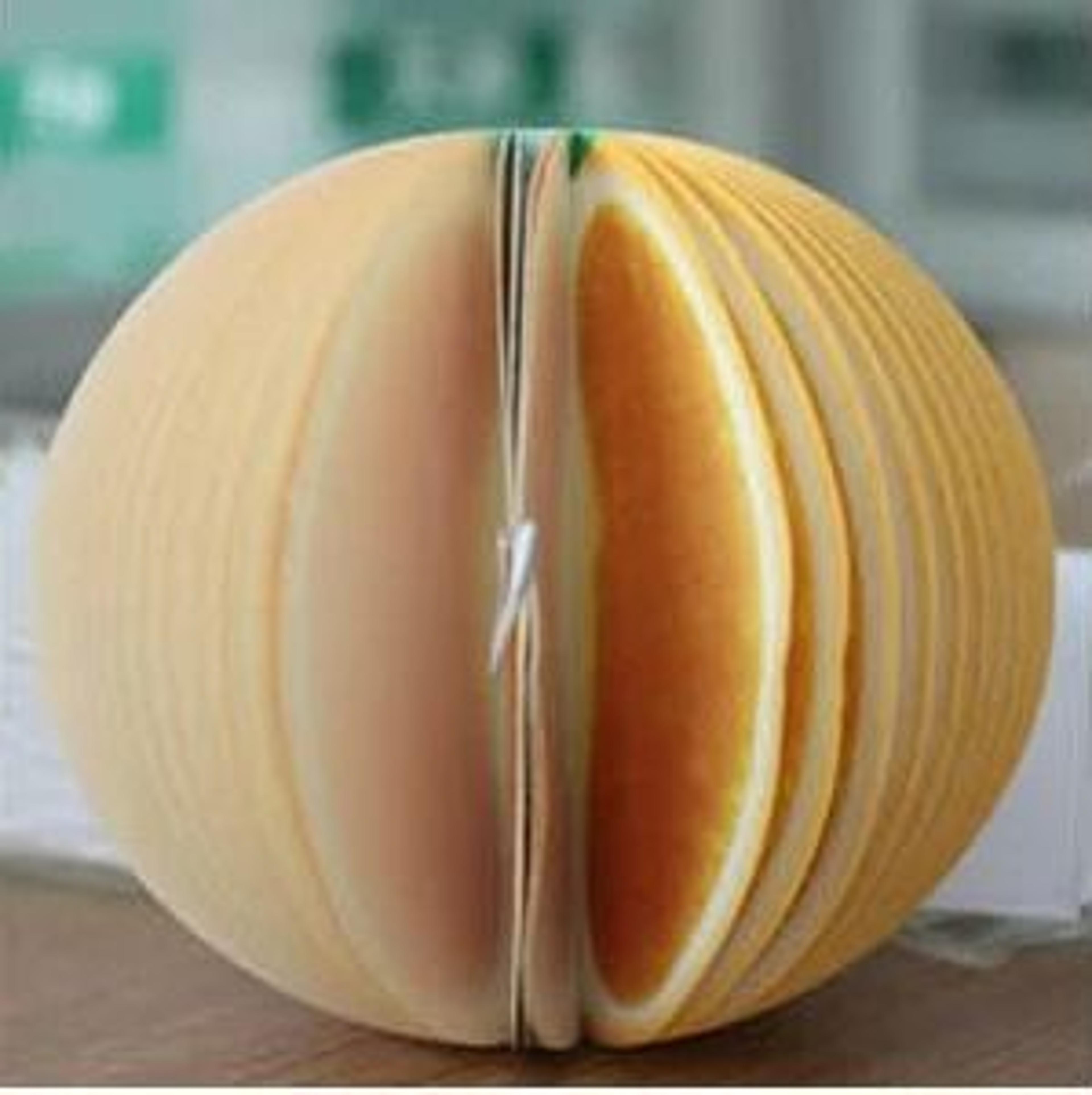 Cute Fruit Sticky Notes Set DIY Memo Pads  Korean Stationery Wall Stickers 12