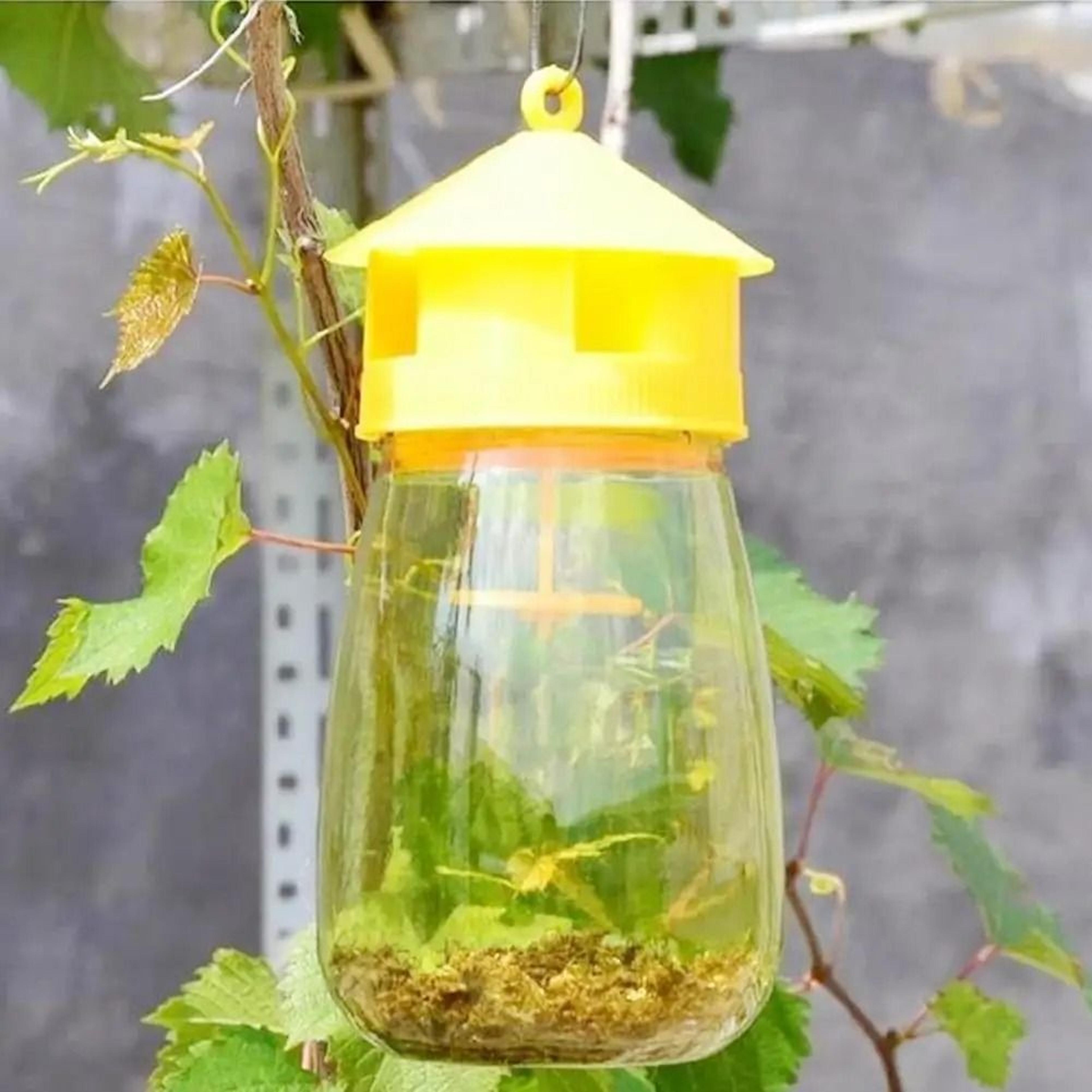 Yellow Plastic Fruit Fly Trap Drosophila Catcher Reusable Orchard Pest Control 4