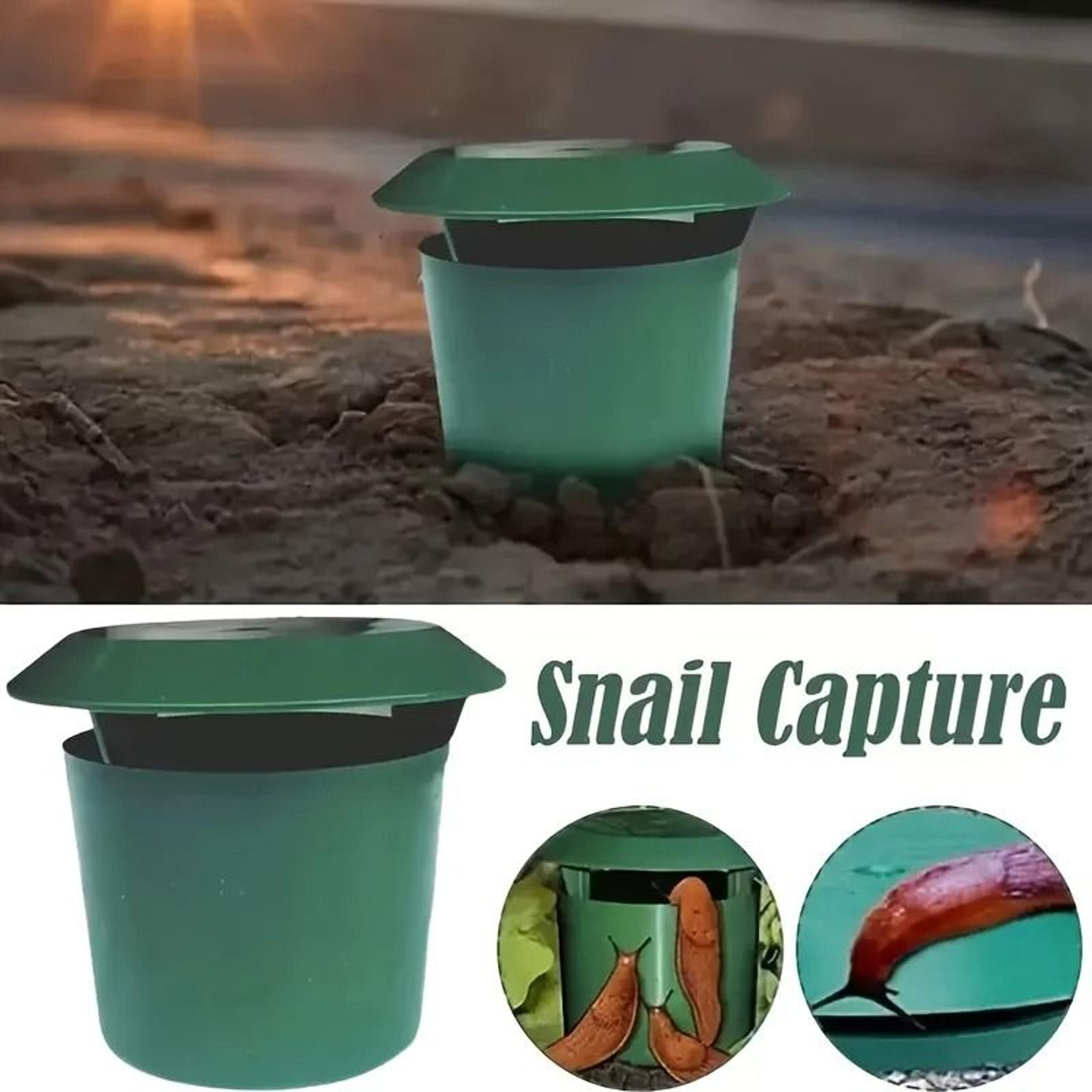 Round Reusable Snail Slug Traps Durable Plastic Lid Garden Pest Catcher 0