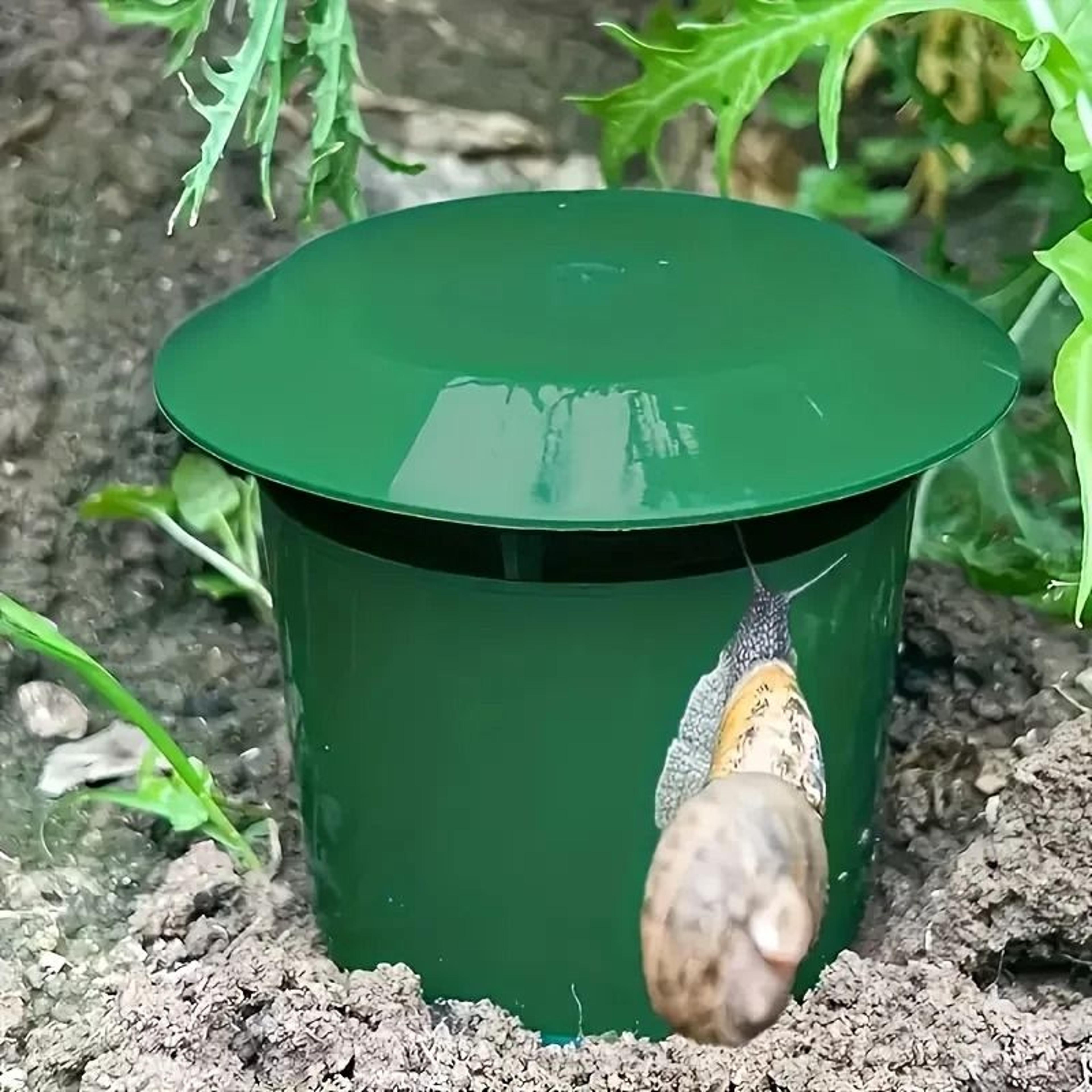 Round Reusable Snail Slug Traps Durable Plastic Lid Garden Pest Catcher 3