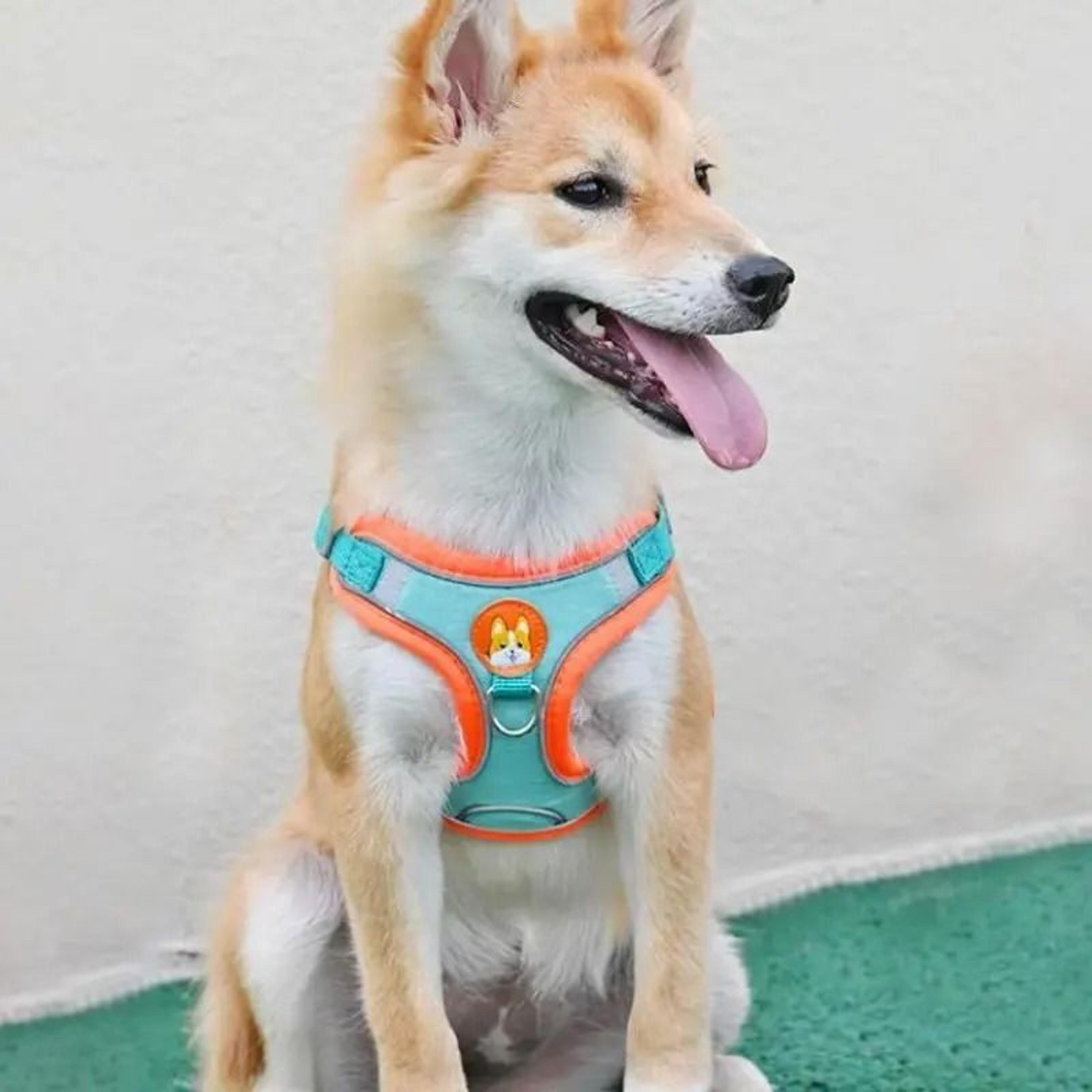 Adjustable No Pull Dog Harness Reflective Vest Pet Leash Chest Strap 2