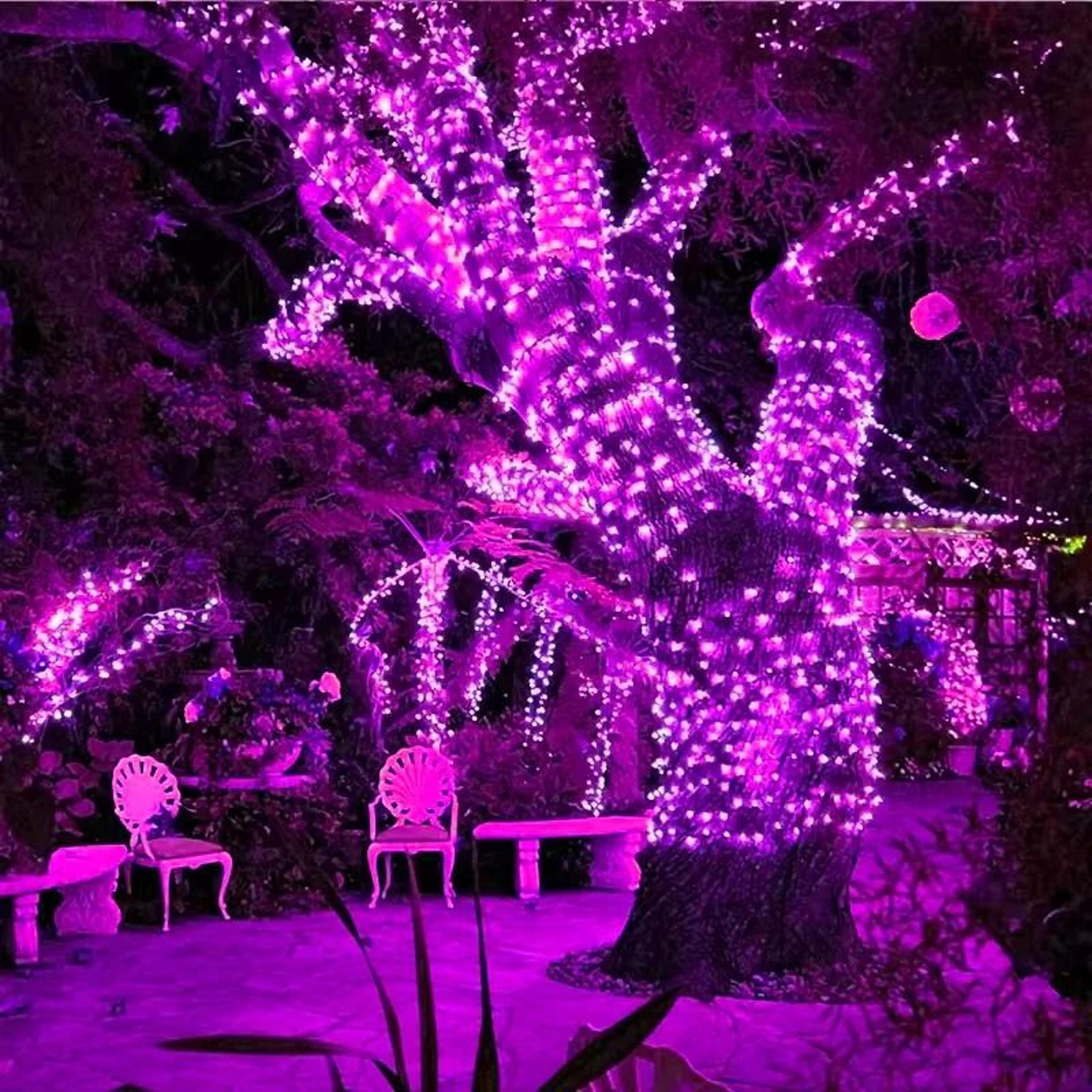 Solar Outdoor Copper Wire LED Fairy String Lights 8 Modes Waterproof Decor 2