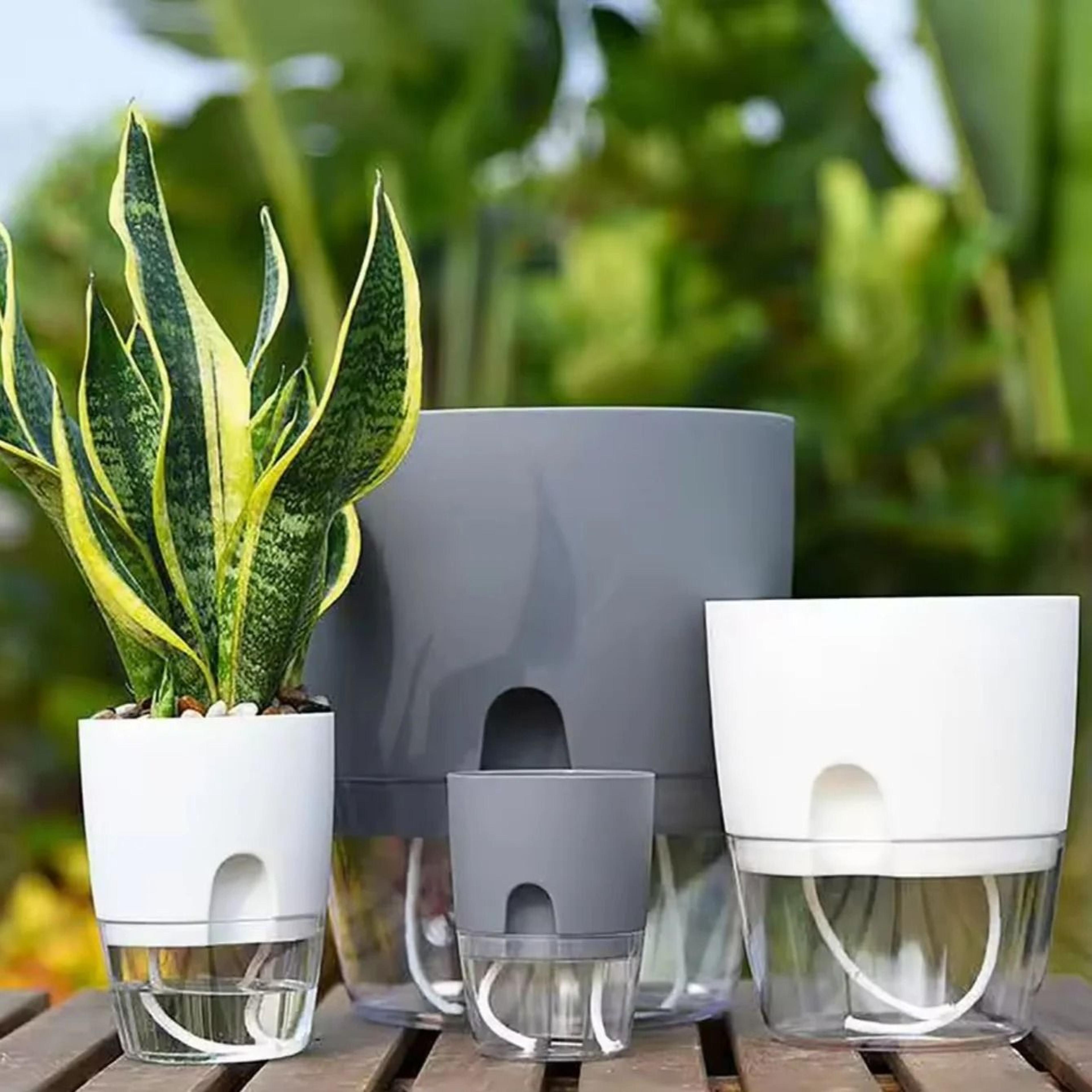 5Piece SelfWatering Planters Set With Wicking Flower Pots  Watering Bottle 2