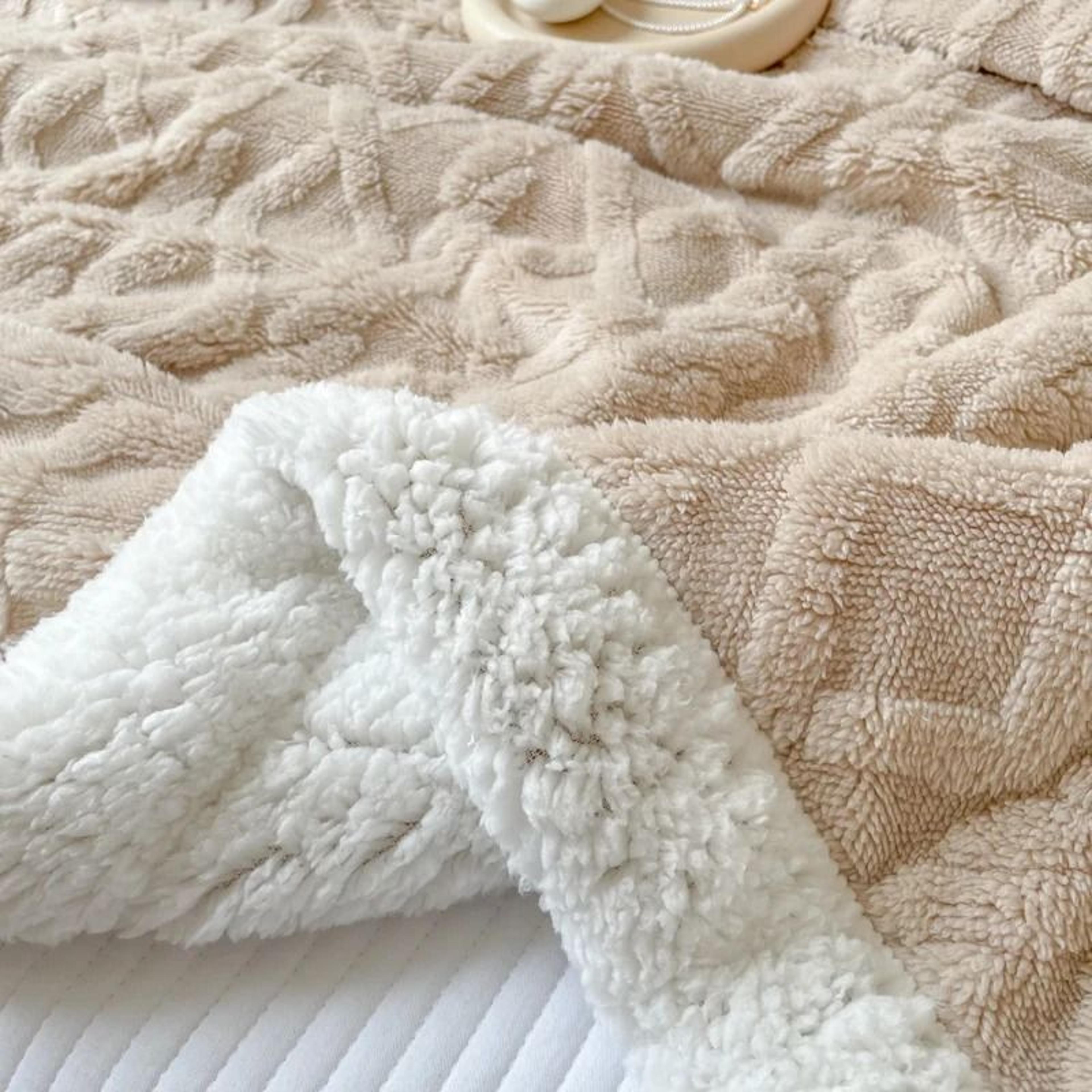 Double Layer Thick Warm Fleece Blanket Plush Autumn Winter Comforter For Bed  Sofa 4