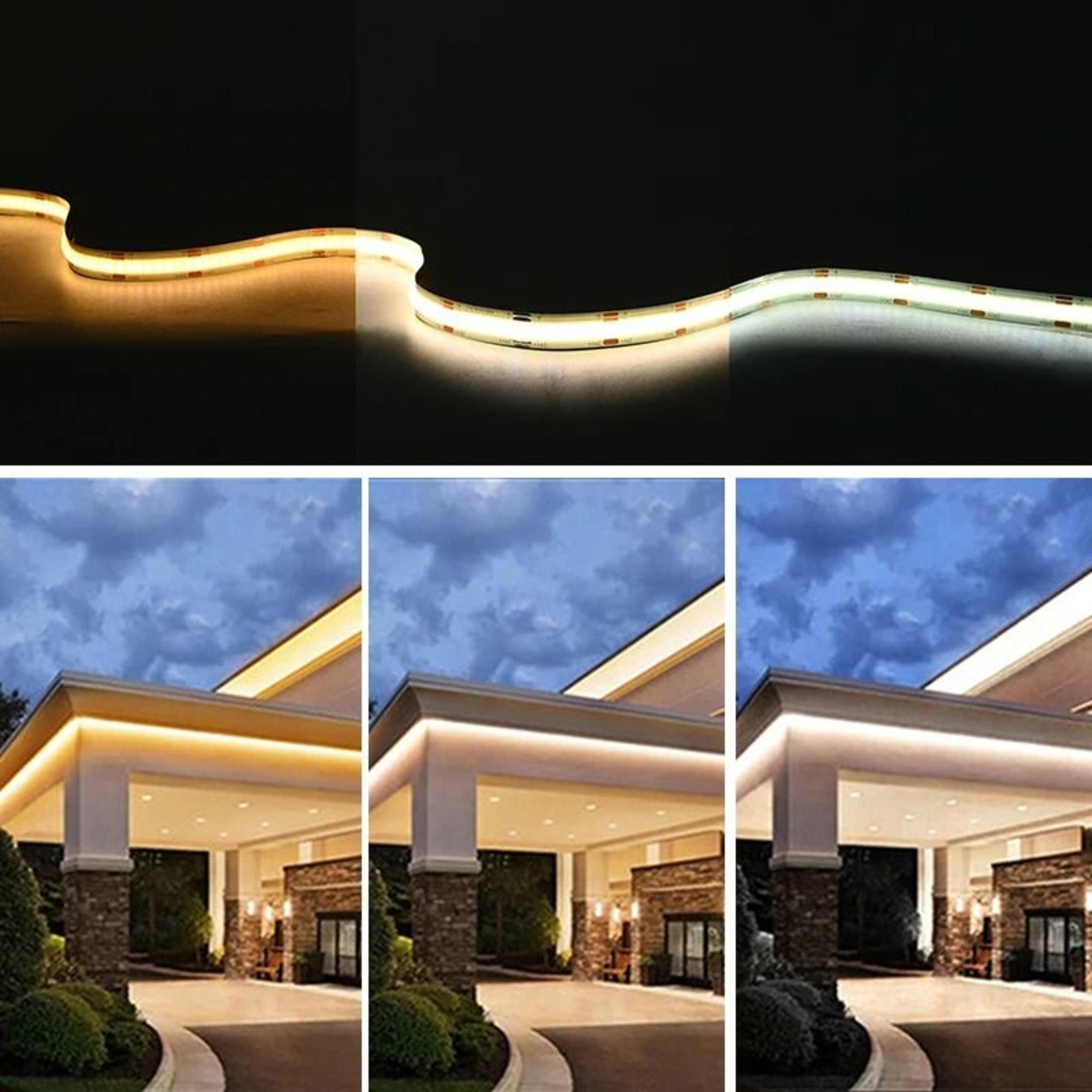 COB CCT LED Strip Light 608 LEDsm High Density Flexible Dimmable FOB Tape 2700K6500K DC12V24V 3