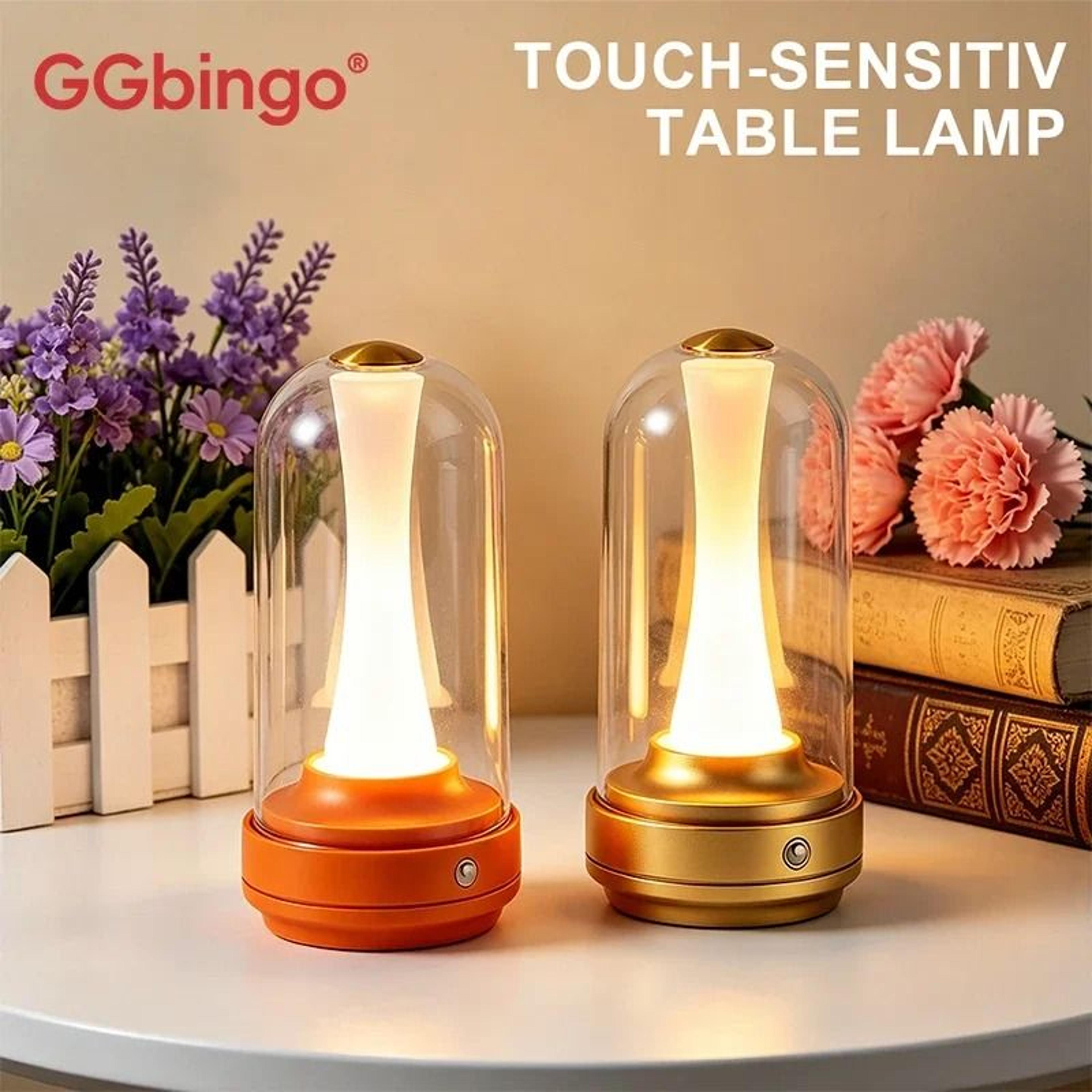 TouchControl Dimmable LED Bedside Night Light USB Rechargeable Mood Lamp With Glass Lampshade 0