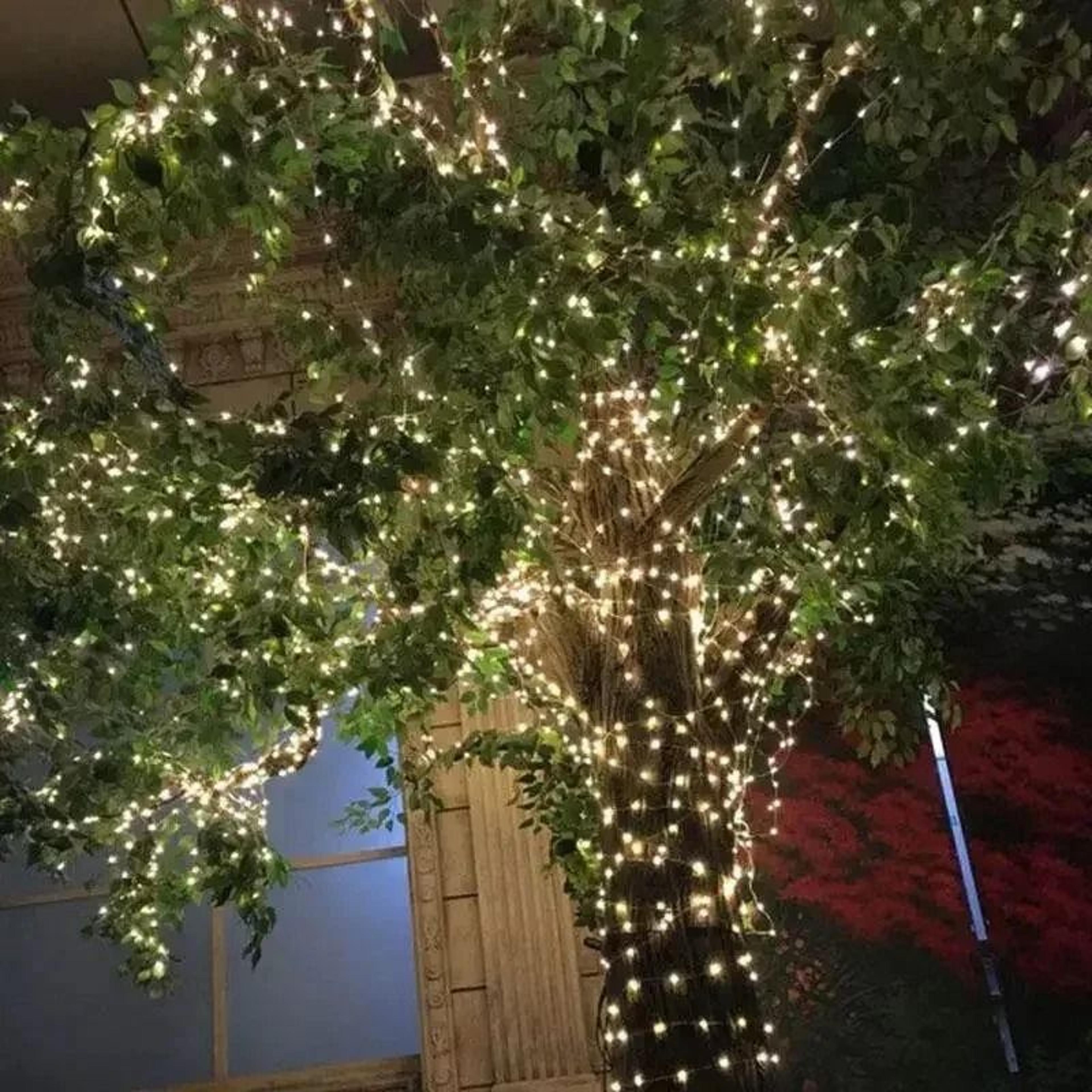 Solar Outdoor Copper Wire LED String Lights Warm Light Fairy Light Garland For Garden Trees Patio   4