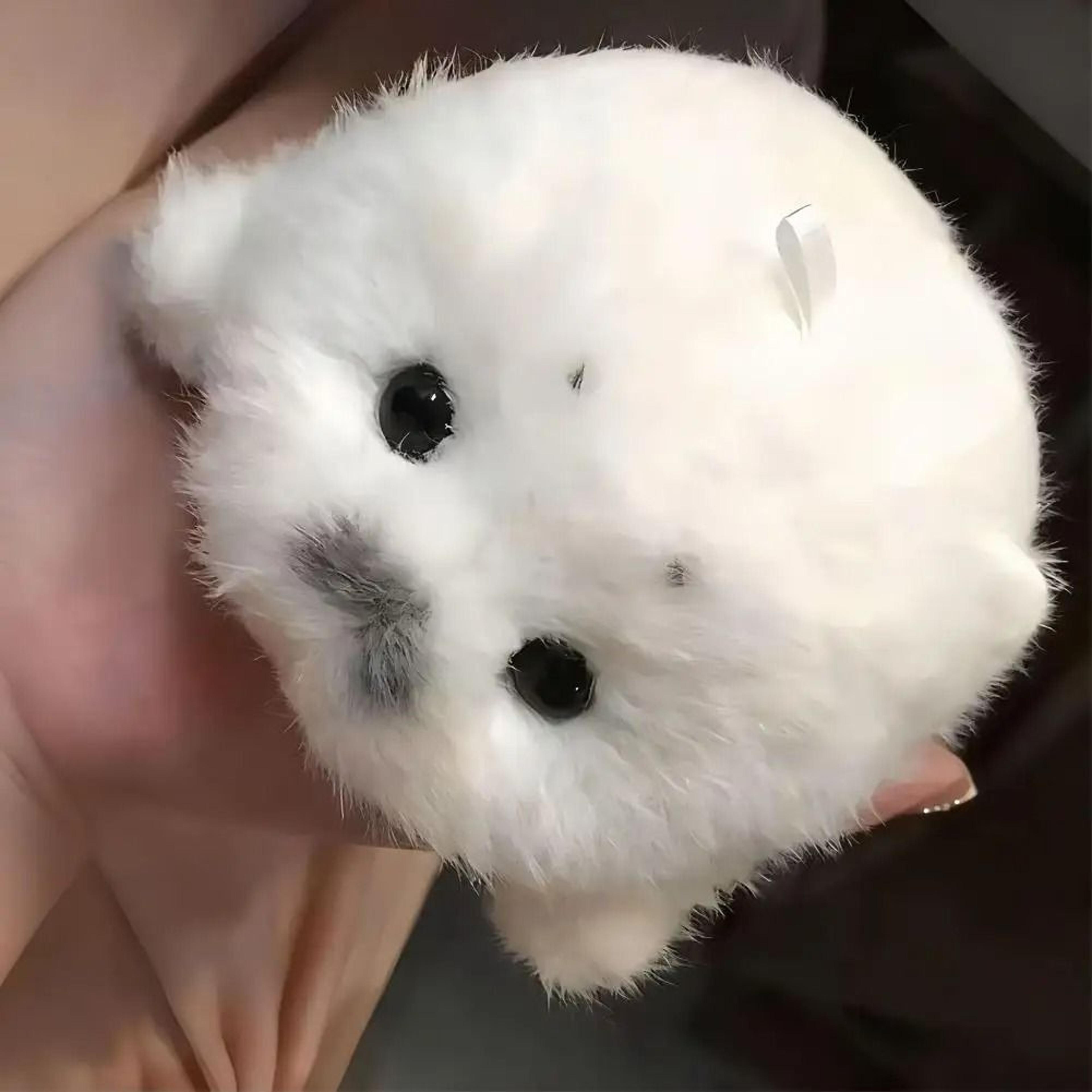 cute simulation ocean seal plush doll keychain pendant bag charm soft stuffed animal souvenir gift