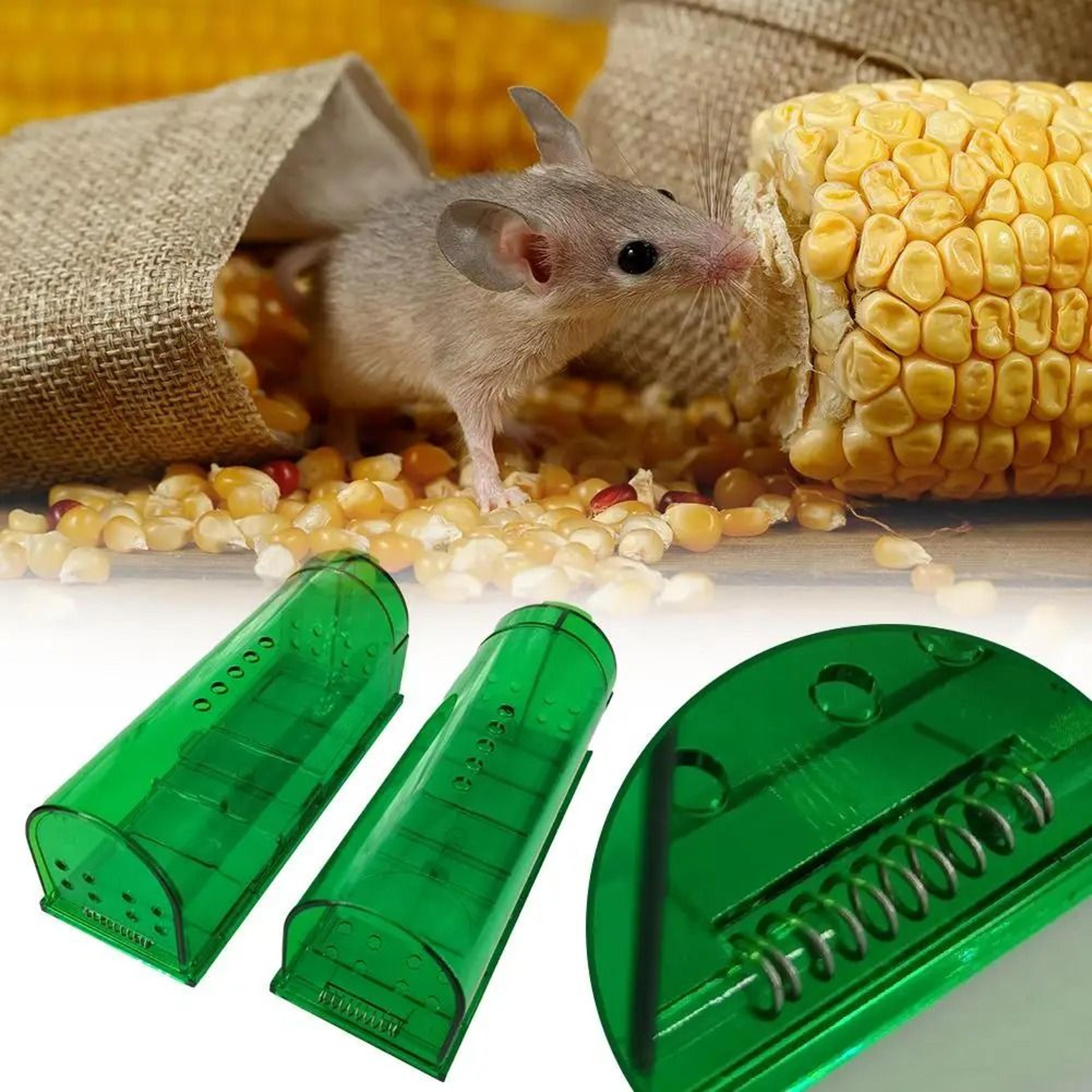 smart self-locking mousetrap safe transparent household rodent catcher control cage
