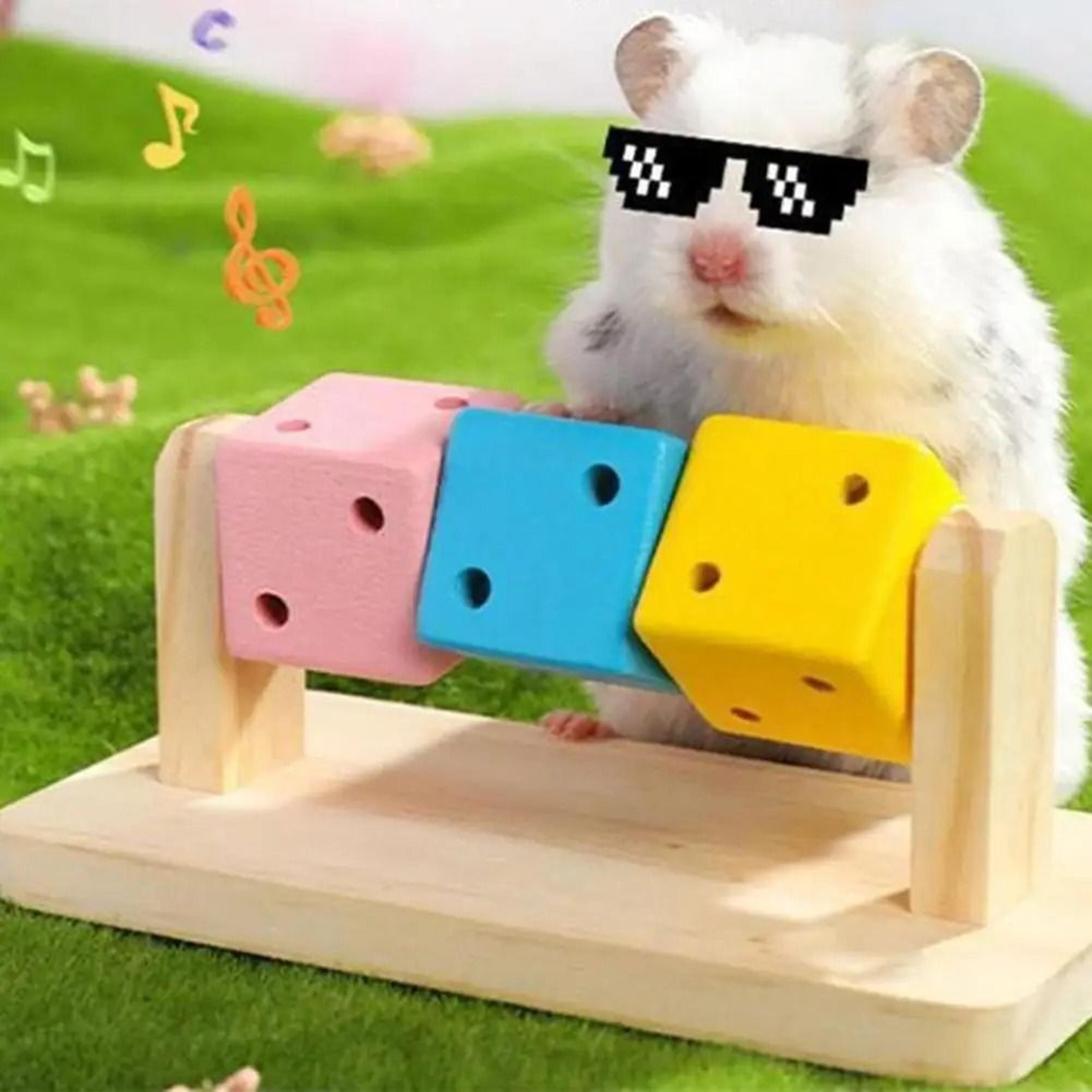 Funny Colorful Wooden Cube Interactive Chewing Toy For Small Pet Birds Parrots Hamsters 1