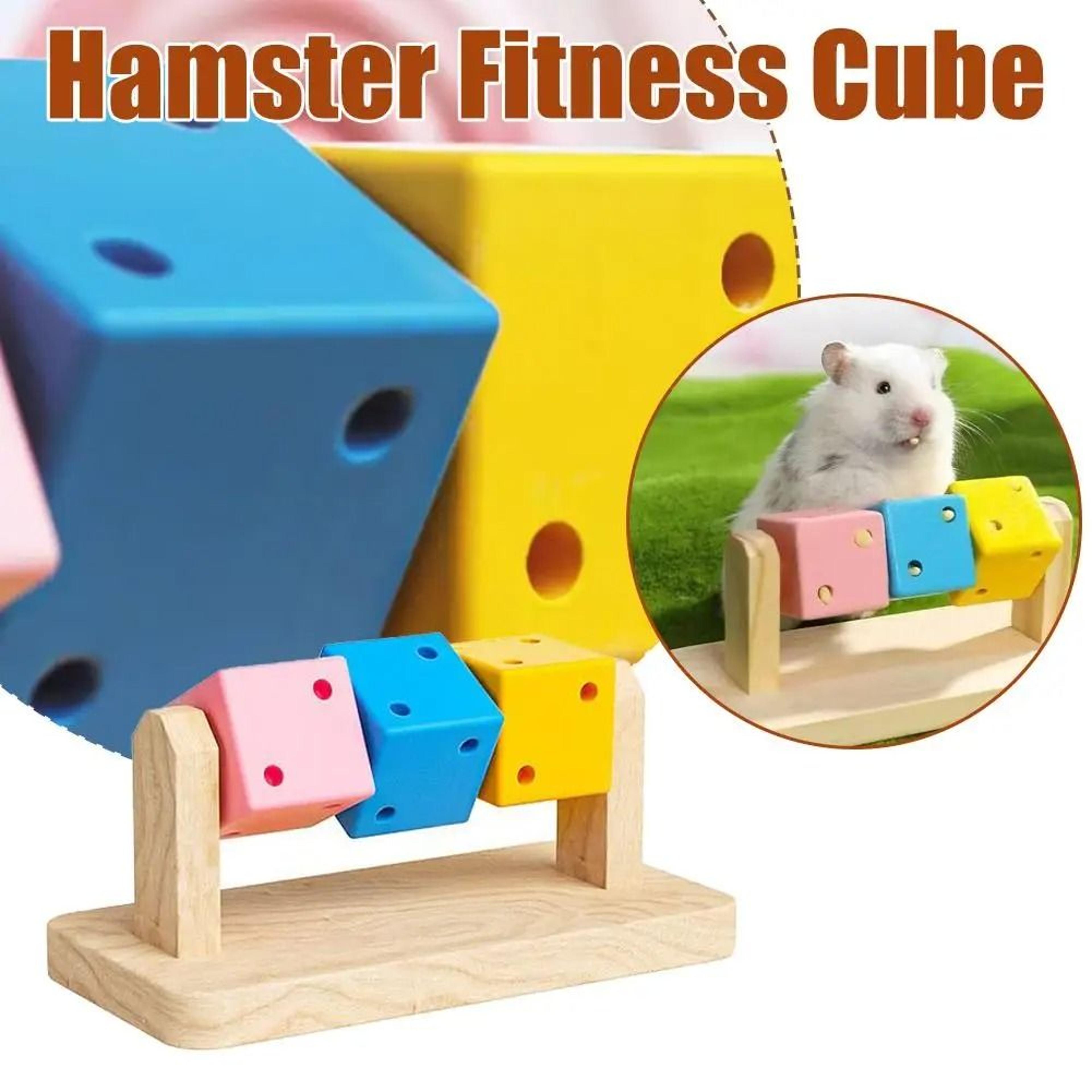 Funny Colorful Wooden Cube Interactive Chewing Toy For Small Pet Birds Parrots Hamsters 5