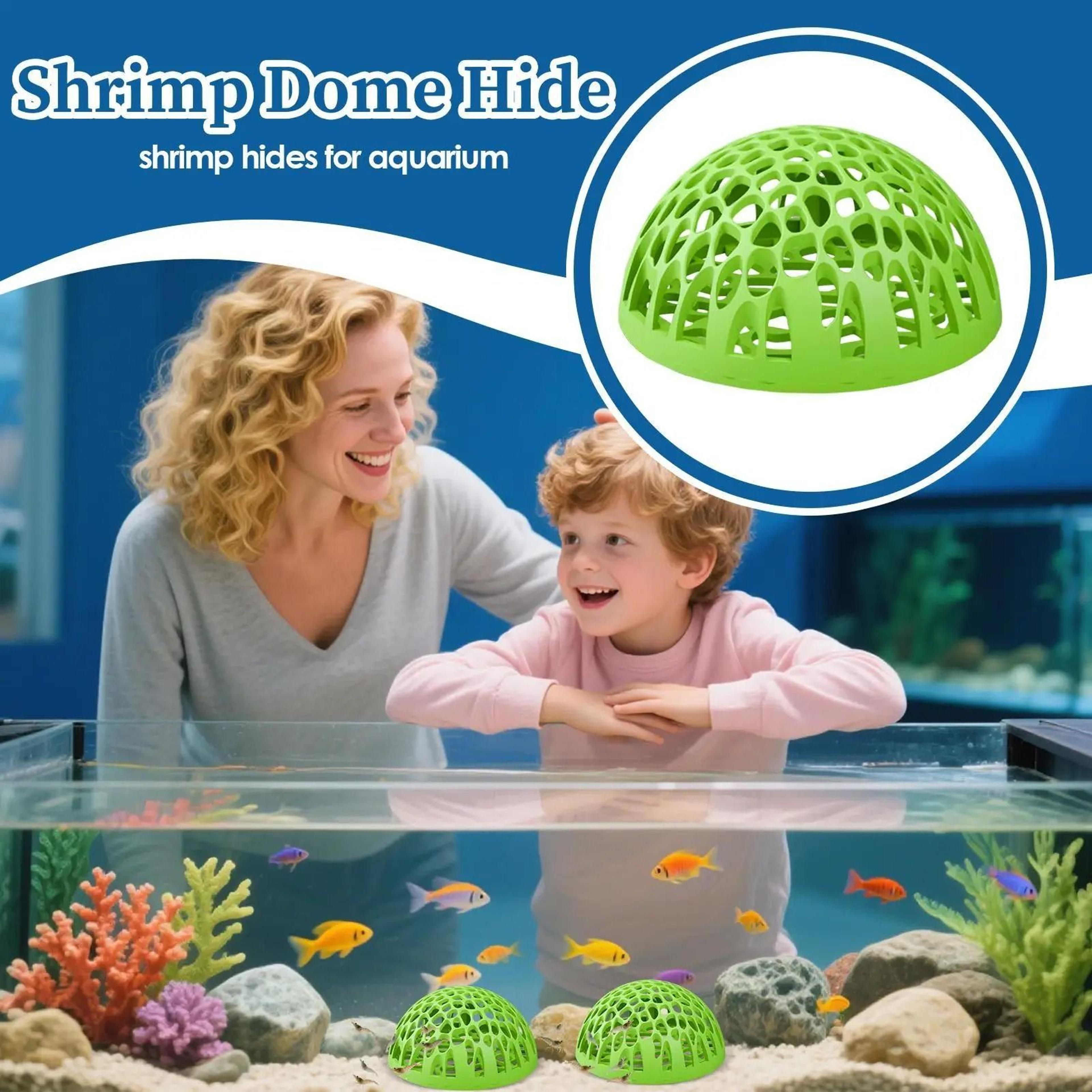 2pcs Shrimp Dome Hide Betta Hiding Cave  Breeding Shelter Tank Ornament For Guppy  Small Fish 1