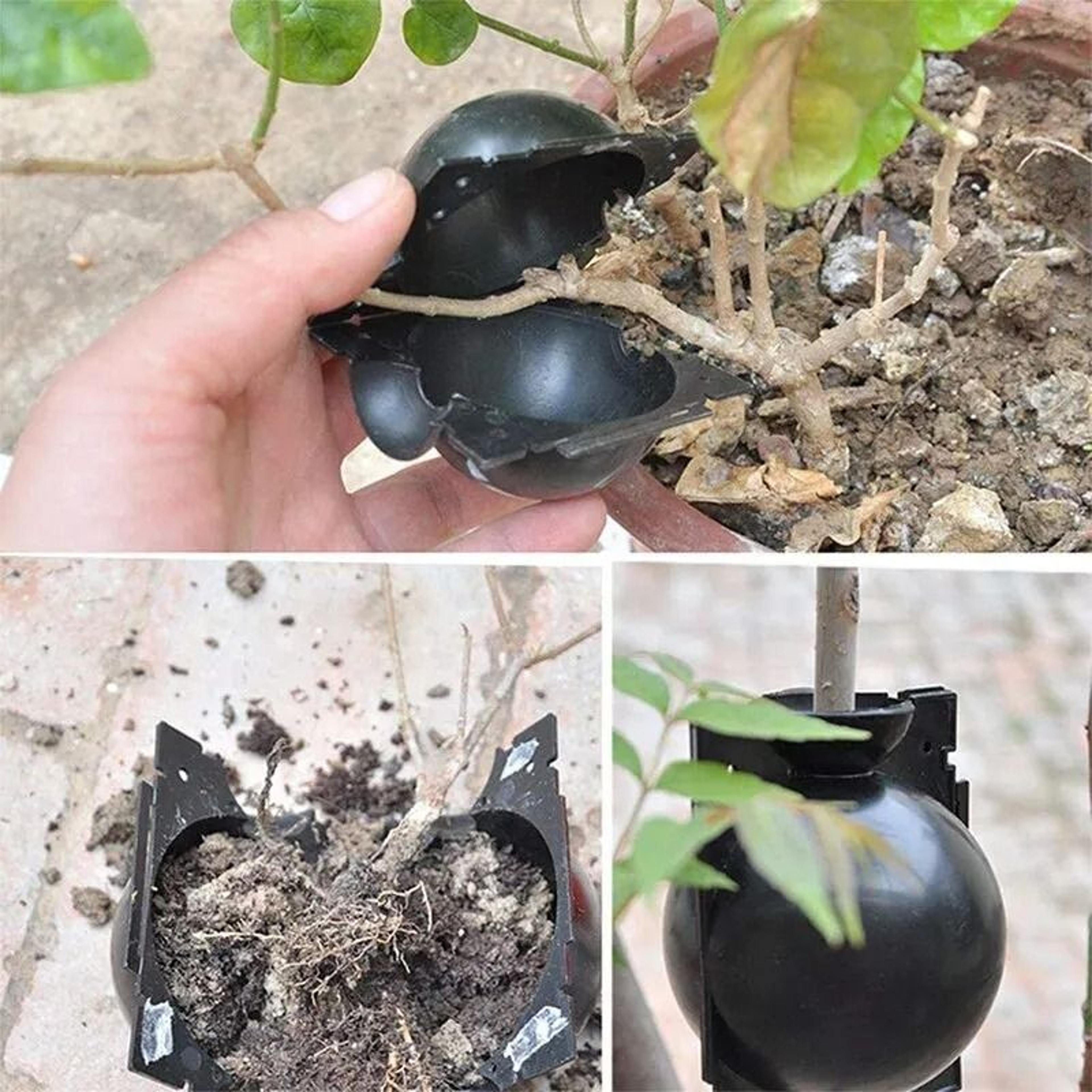 10-pack reusable plant rooting balls & air-layering propagation boxes