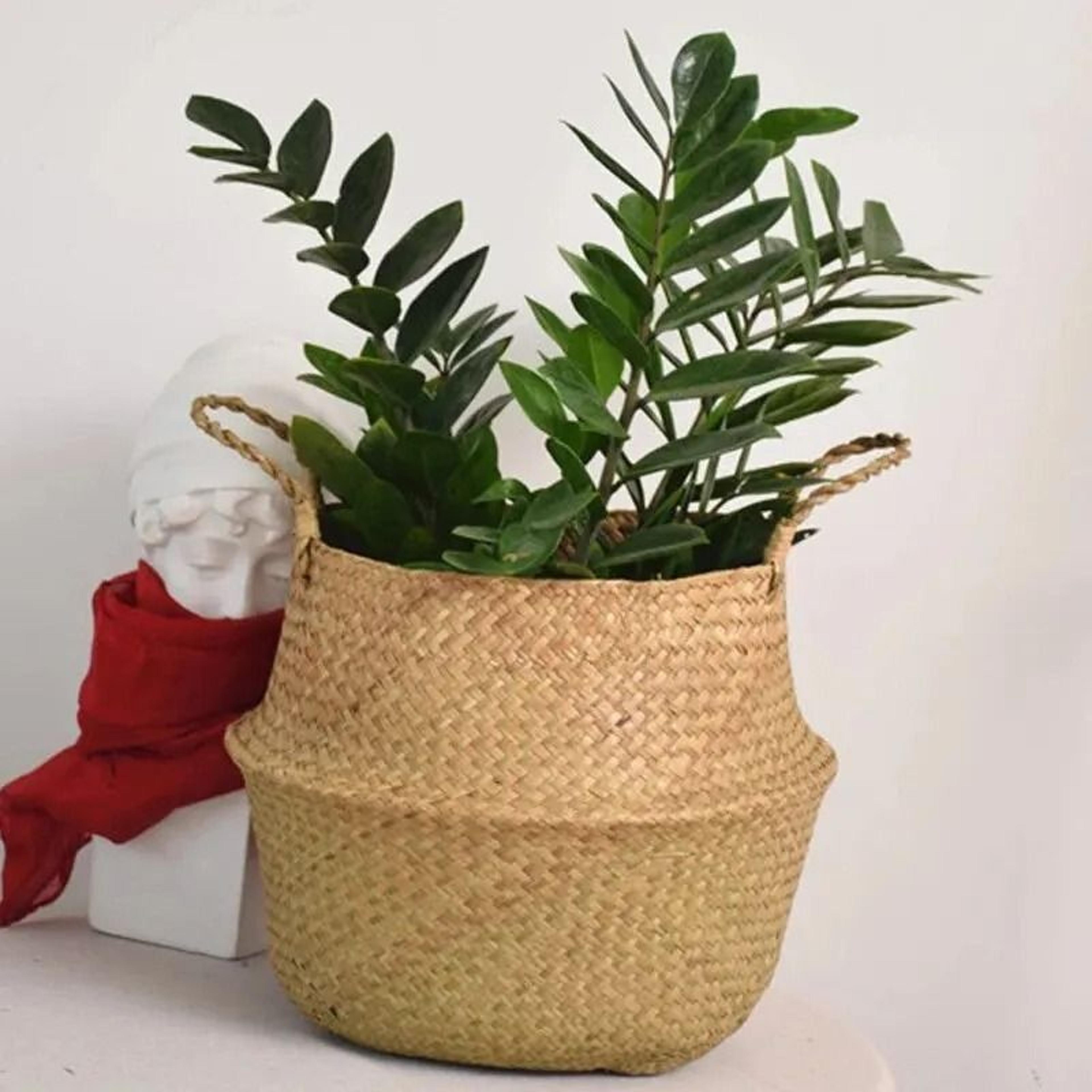 foldable wicker seagrass storage basket & woven plant flower pot holder