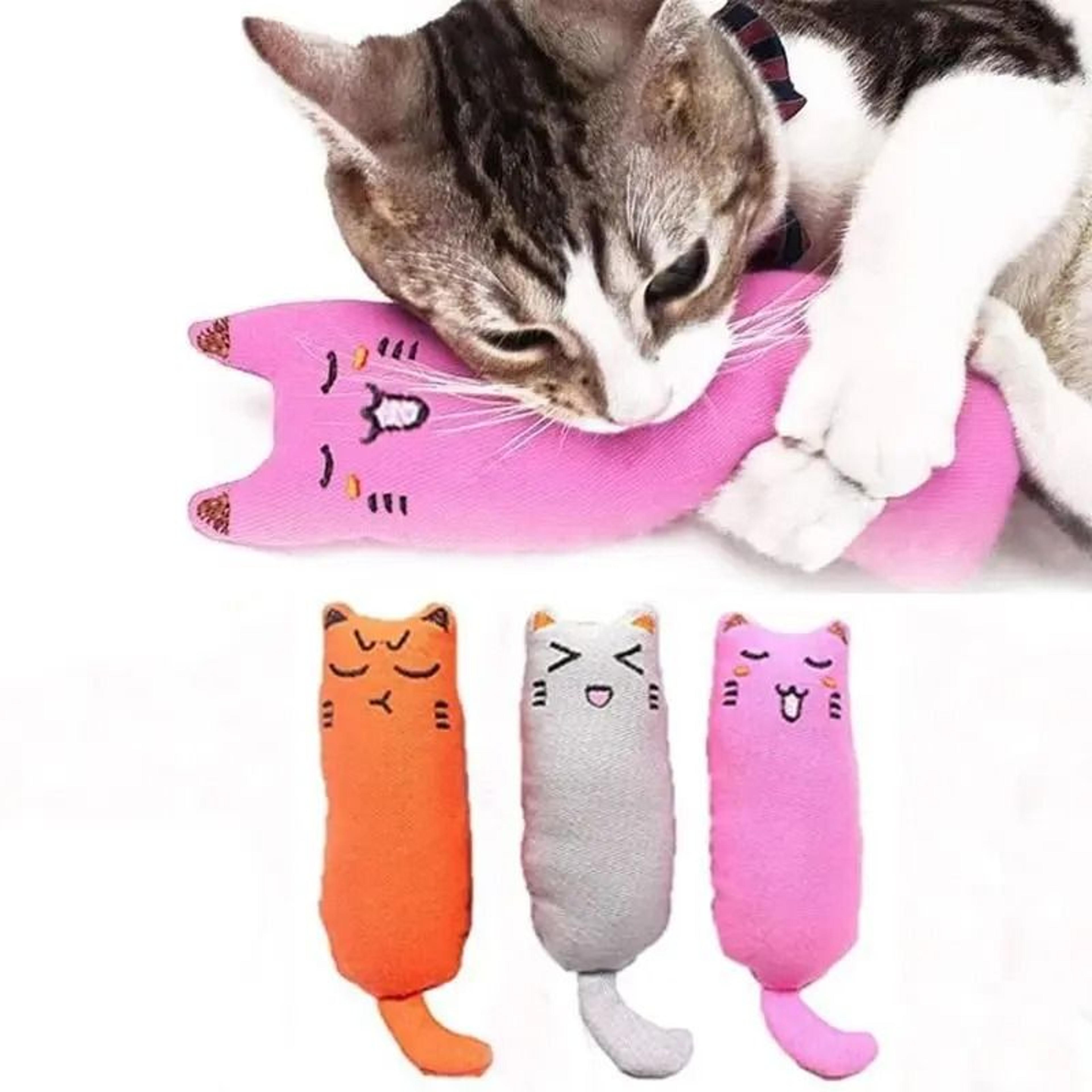 catnip thumb plush pillow & bite-resistant teeth grinding chew toy