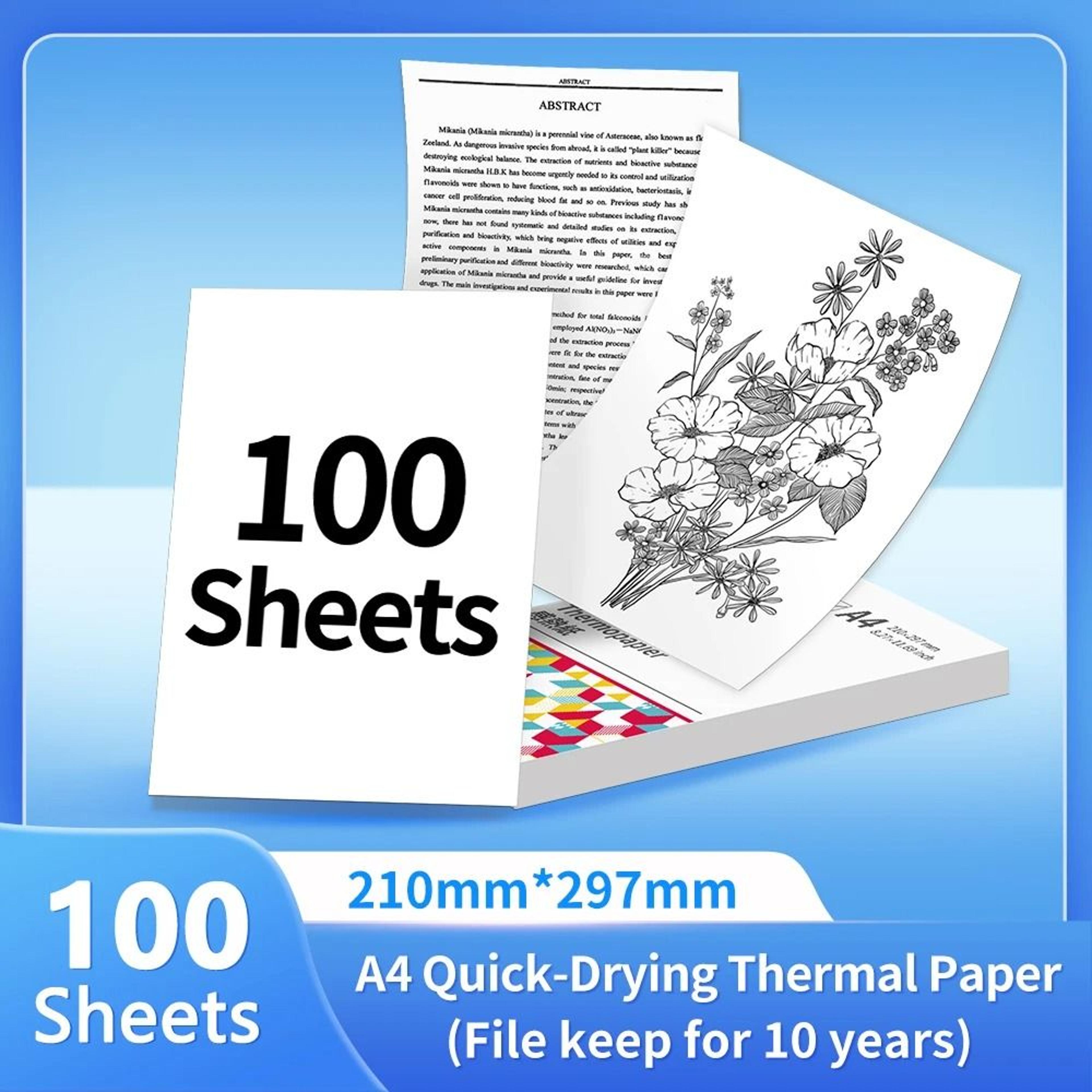 Phomemo Official QuickDry Continuous Thermal Paper Rolls 50mm  80mm  110mm  A4  Letter For M08F M83 12