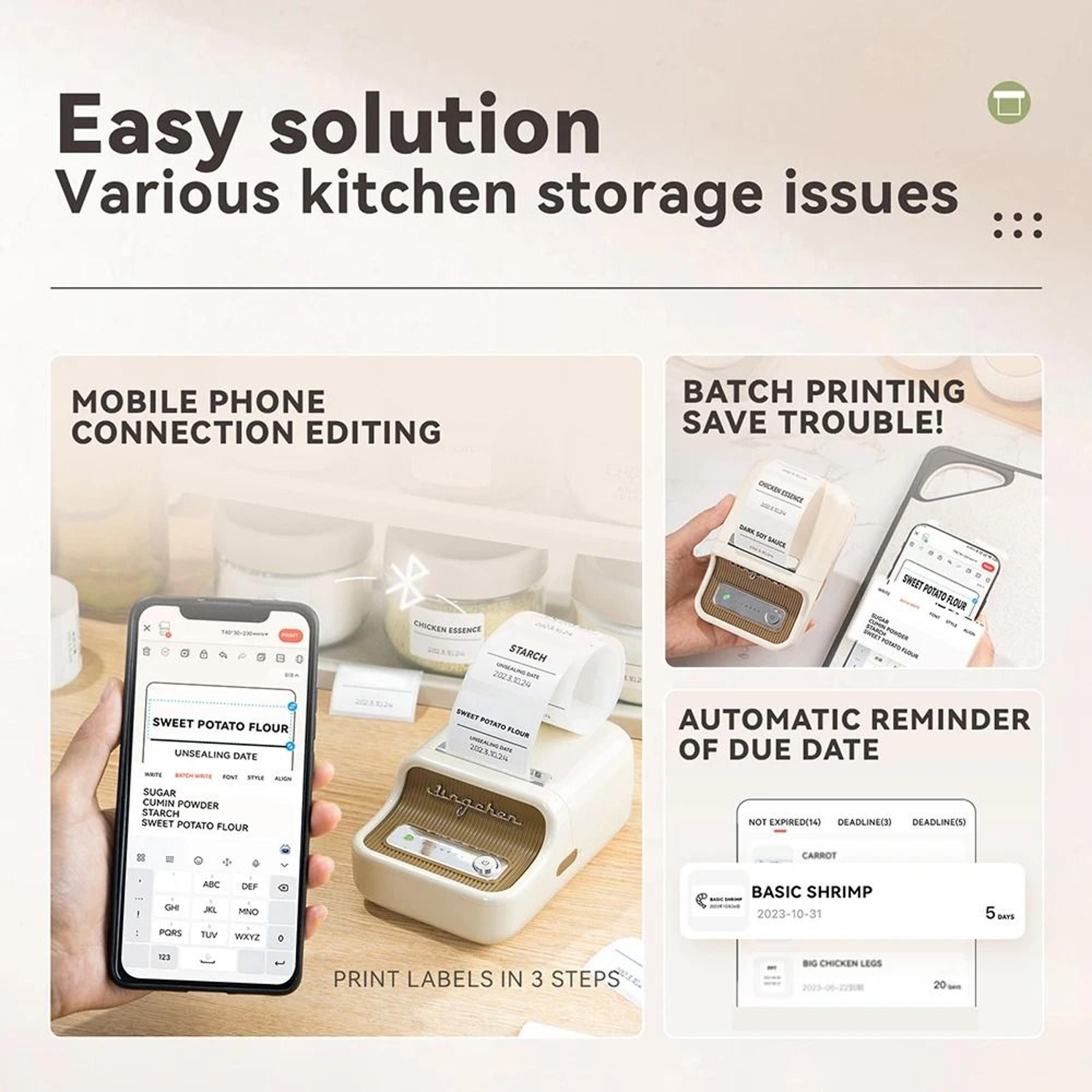 Niimbot B1  B21 Wireless Bluetooth Thermal Label Printer Set With Freezer Labels For Kitchen  Food  1