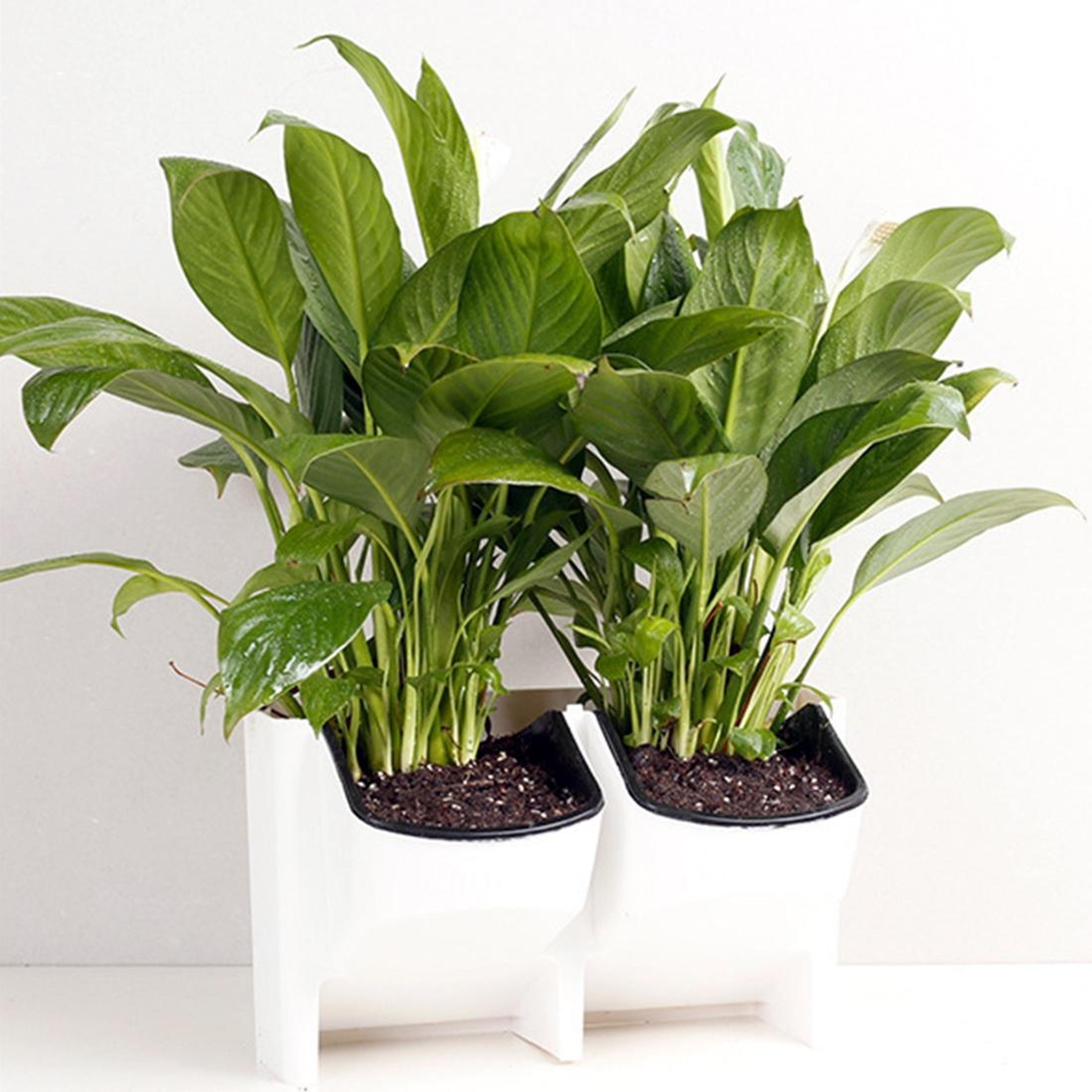 Vertical Wall Garden Stackable Hanging Flower Pot Planter 11