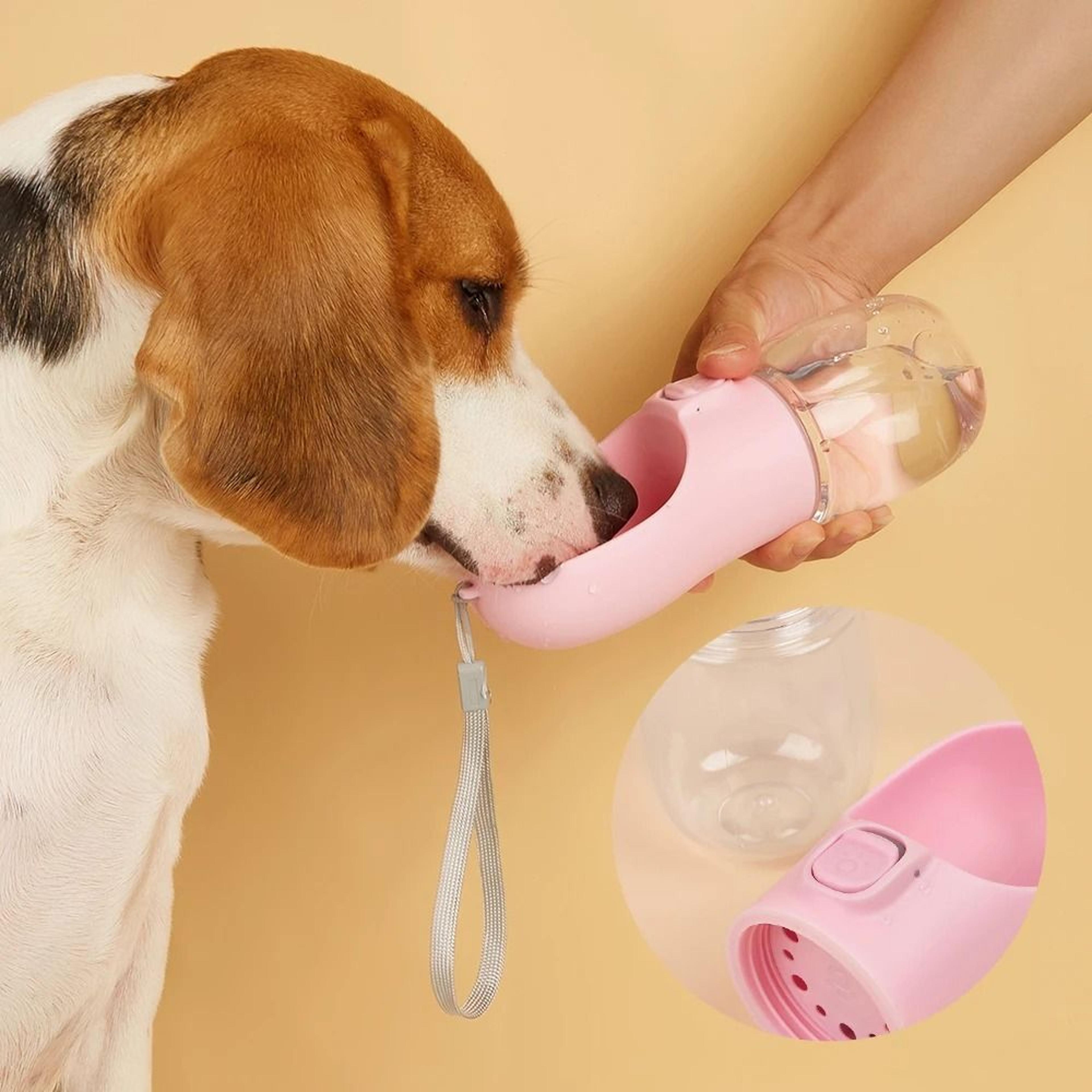 Portable Dog Water Bottle With BuiltIn Bowl For Outdoor Travel 4