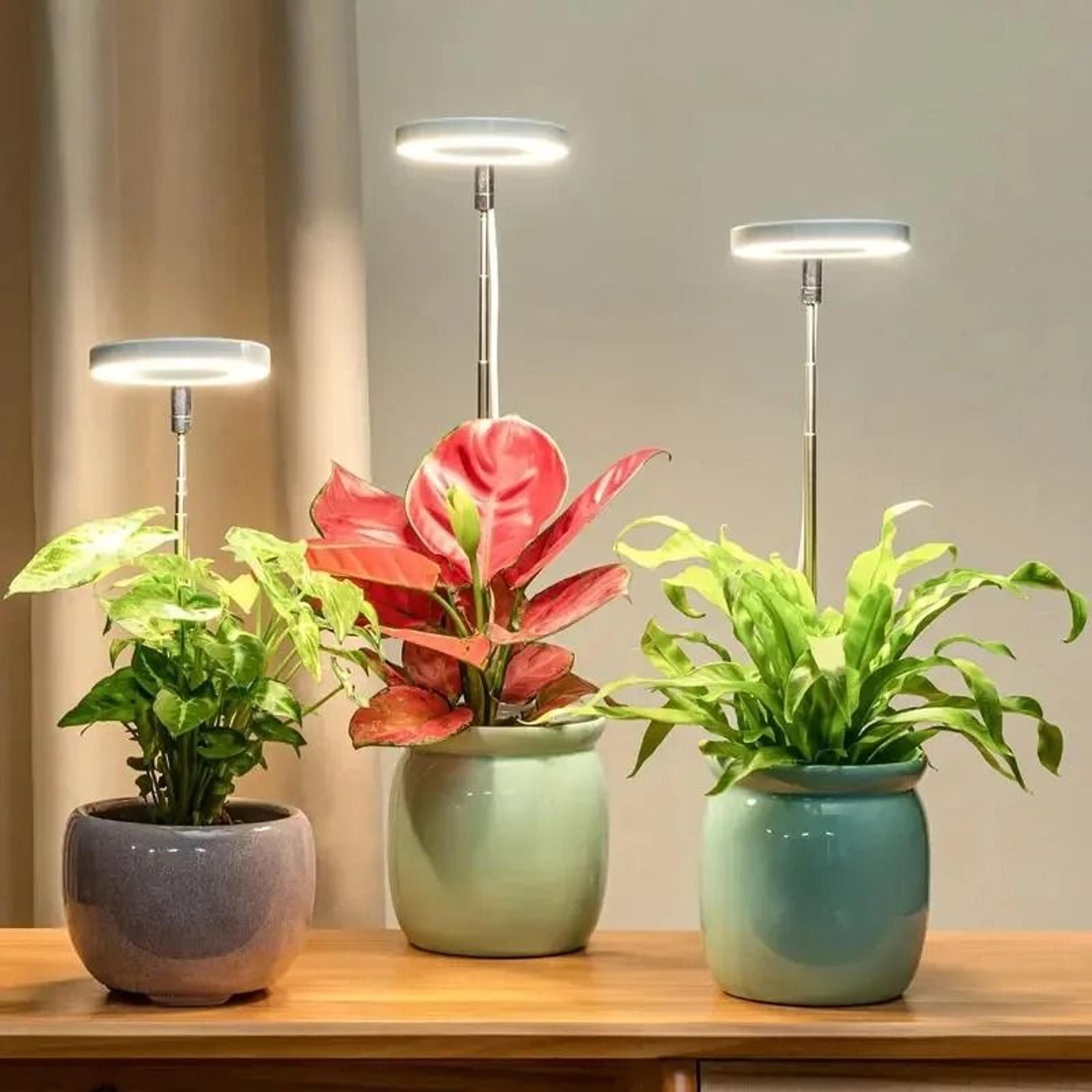 led grow light for indoor plants with adjustable brightness and timer