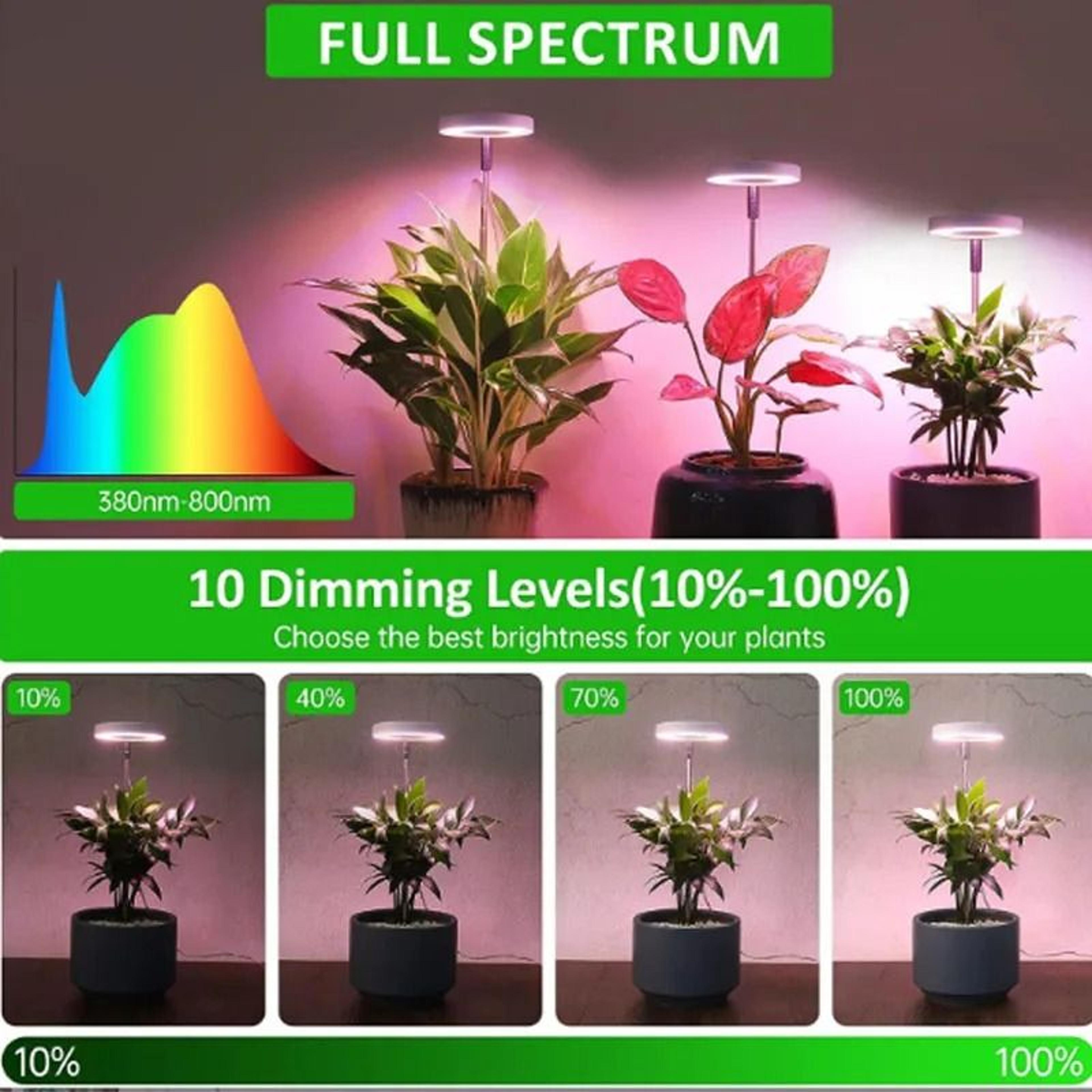 LED Grow Light For Indoor Plants With Adjustable Brightness And Timer 4