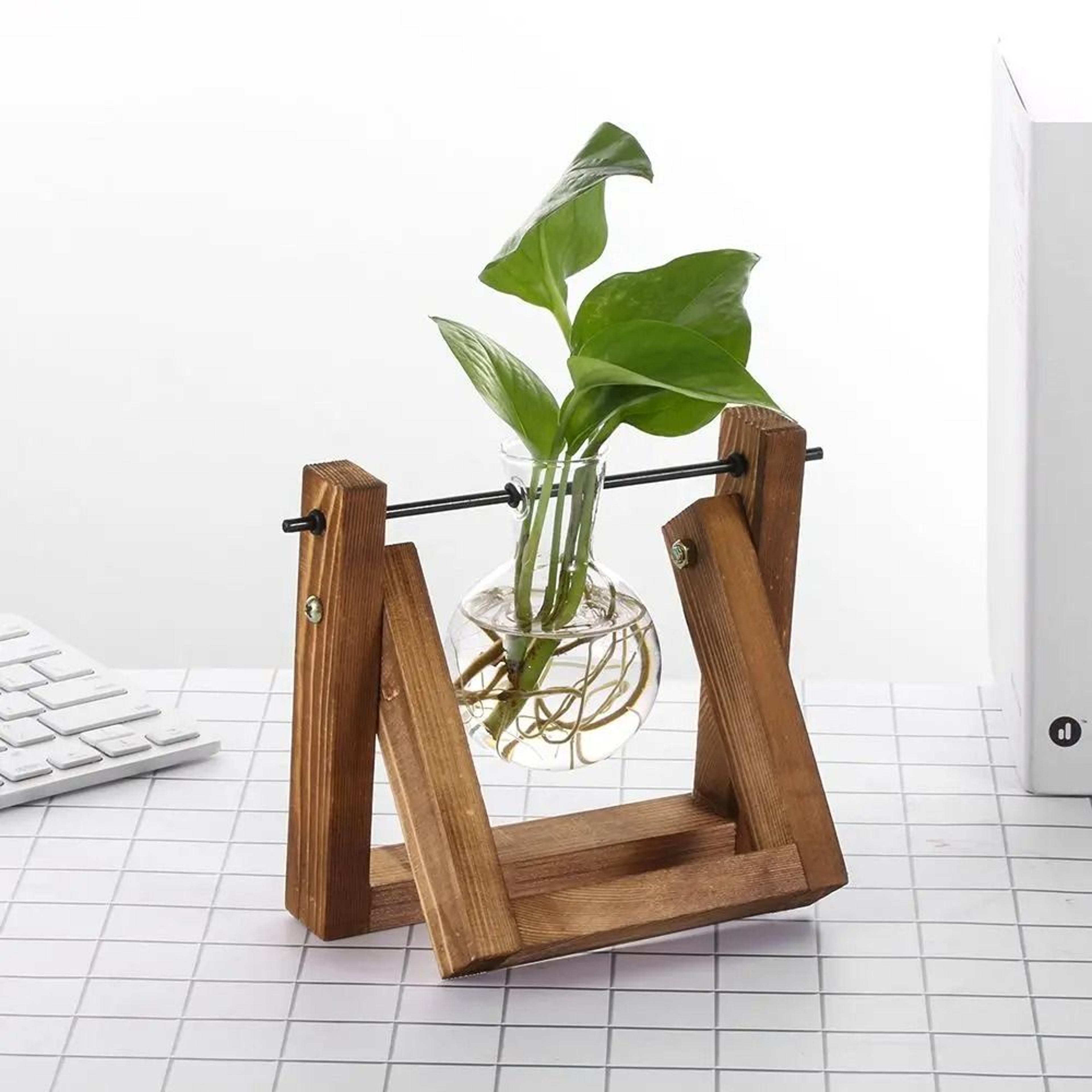 Wooden Frame Glass Terrarium Tabletop Planter For Indoor Plants 3