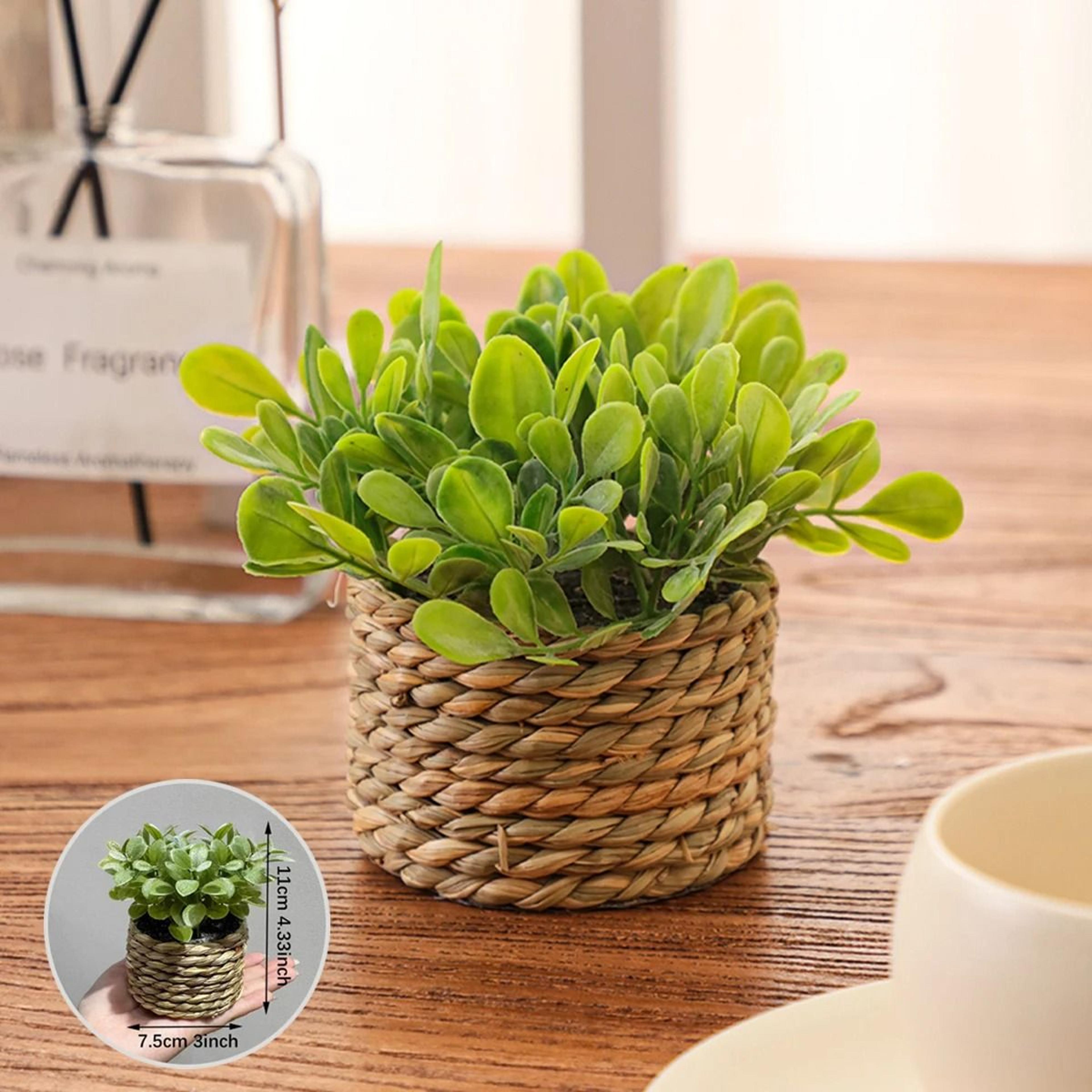 Artificial Eucalyptus Grass Potted Plant 3