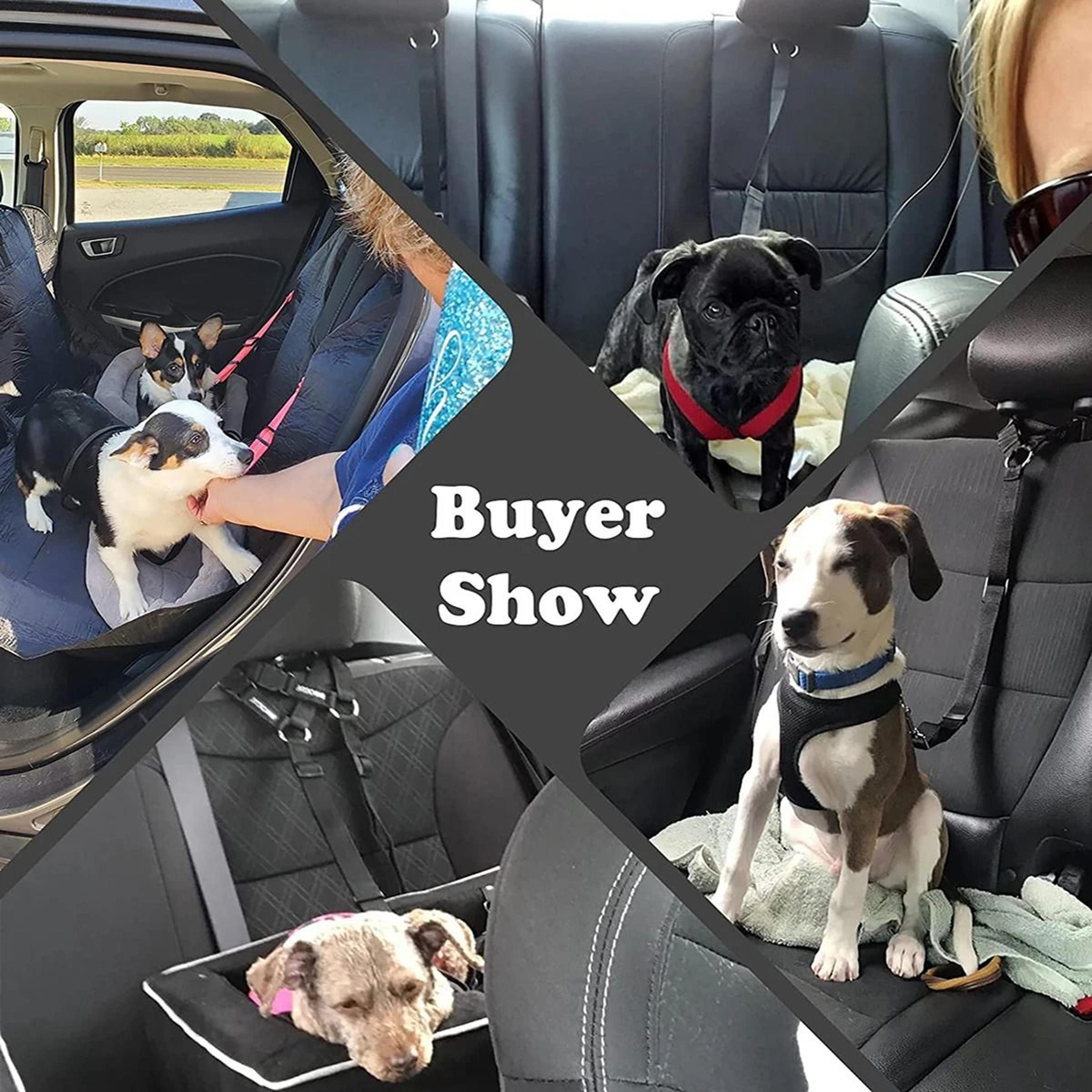 Pet Car Safety Restraint For Dogs  Cats 5