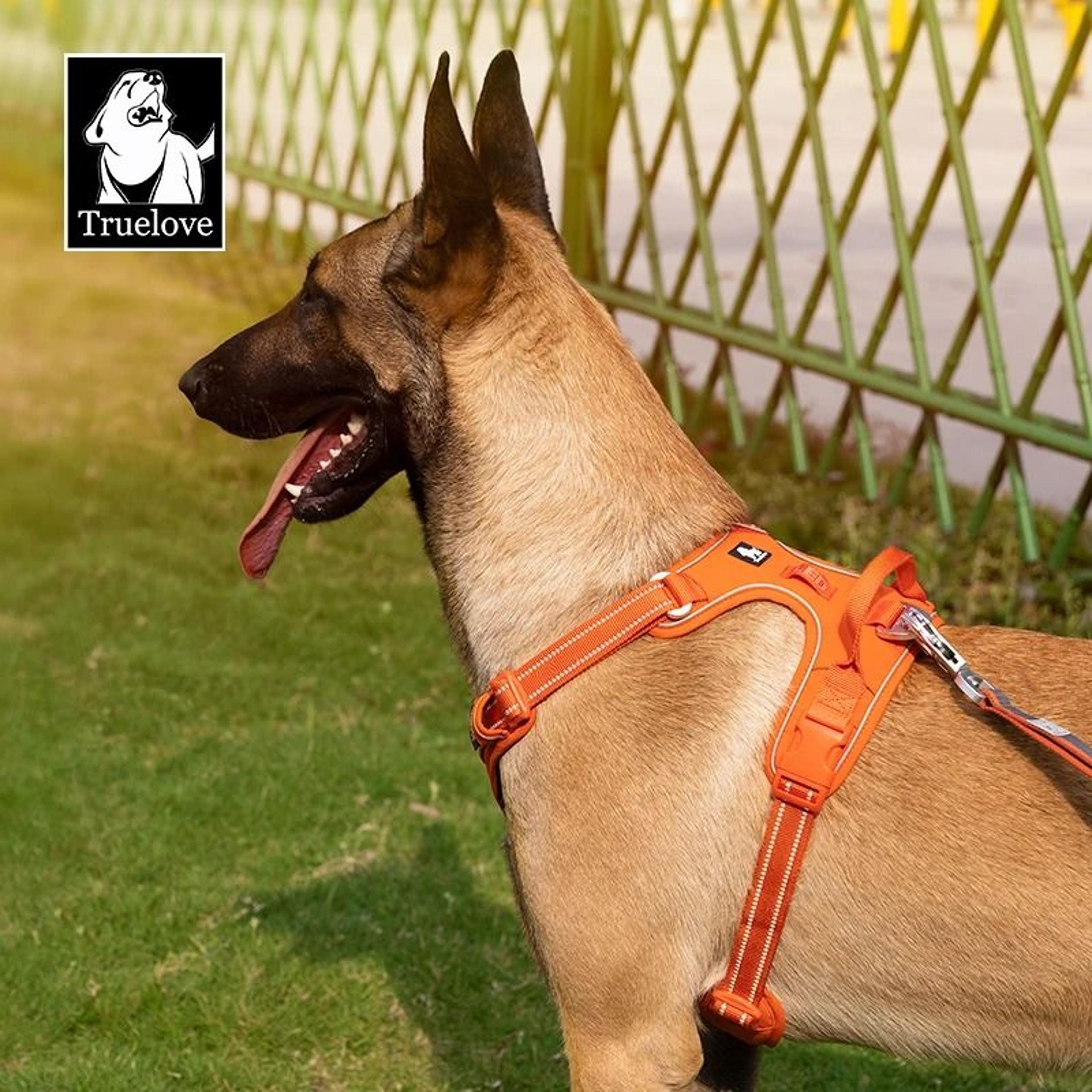 Adjustable Reflective No Pull Dog Harness For Safe Walking 5