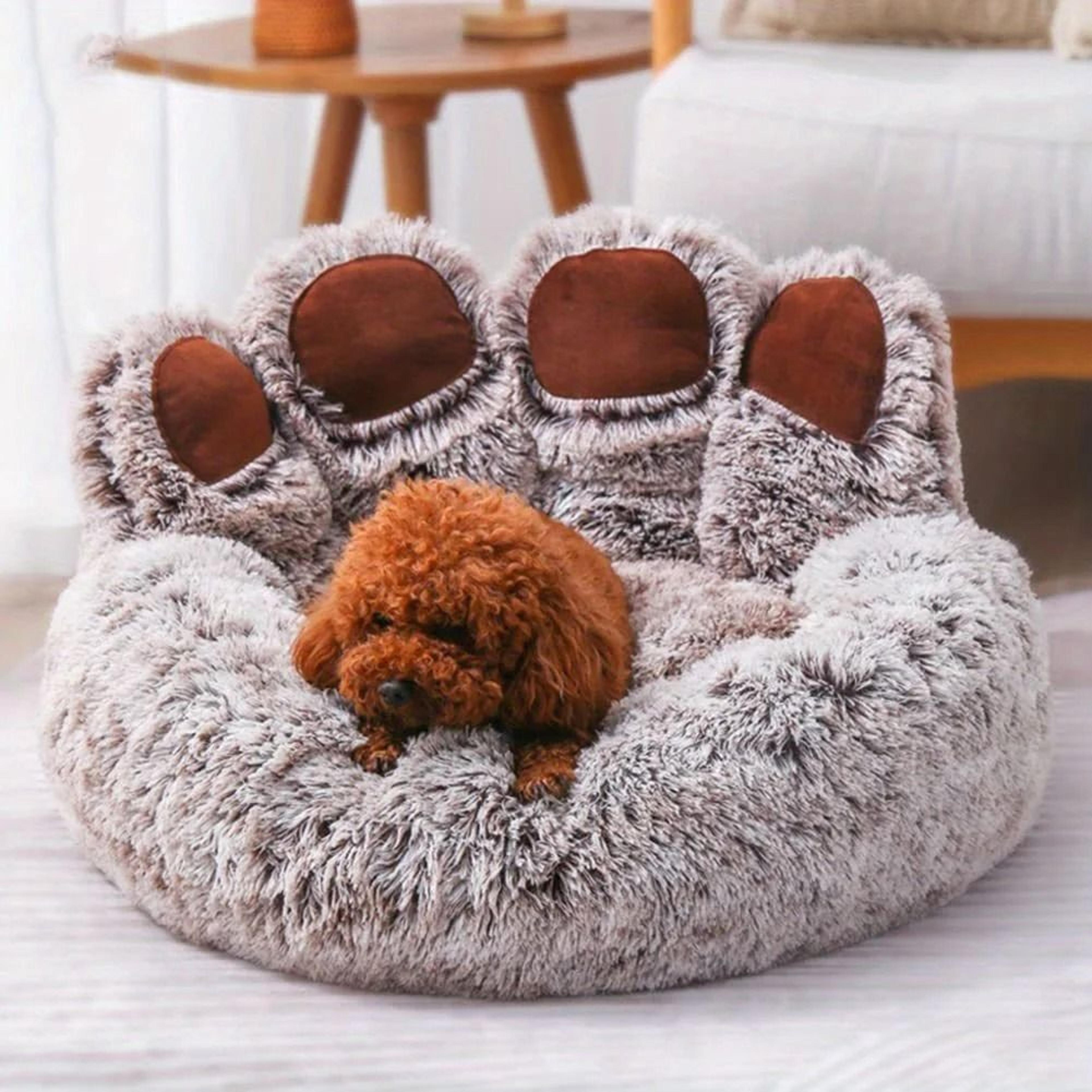 Cozy Bear Paw Pet Bed For Dogs And Cats 5