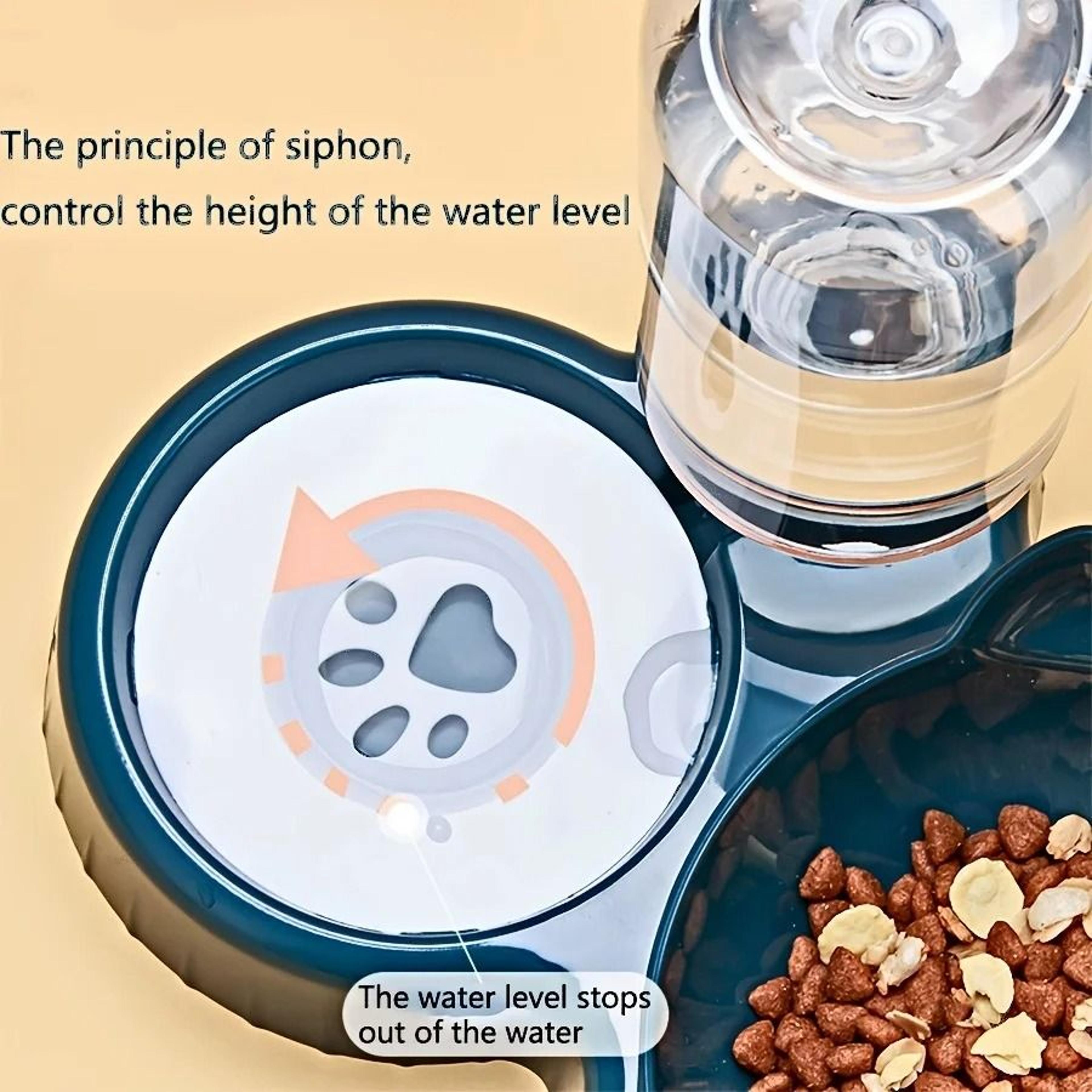Tilted Pet Feeding Station With Water Dispenser 4