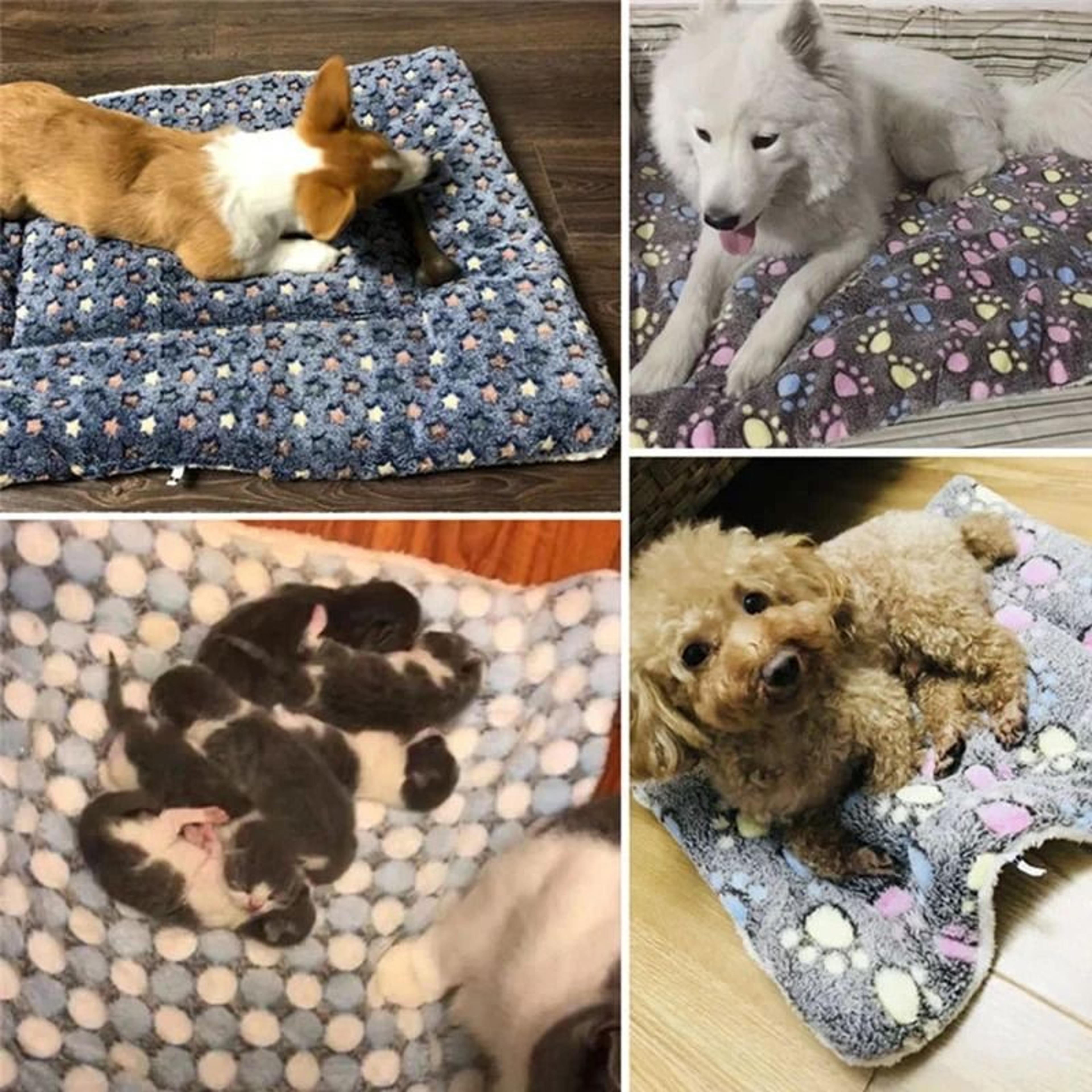 Cozy Flannel Pet Sleeping Mat For Dogs And Cats 3
